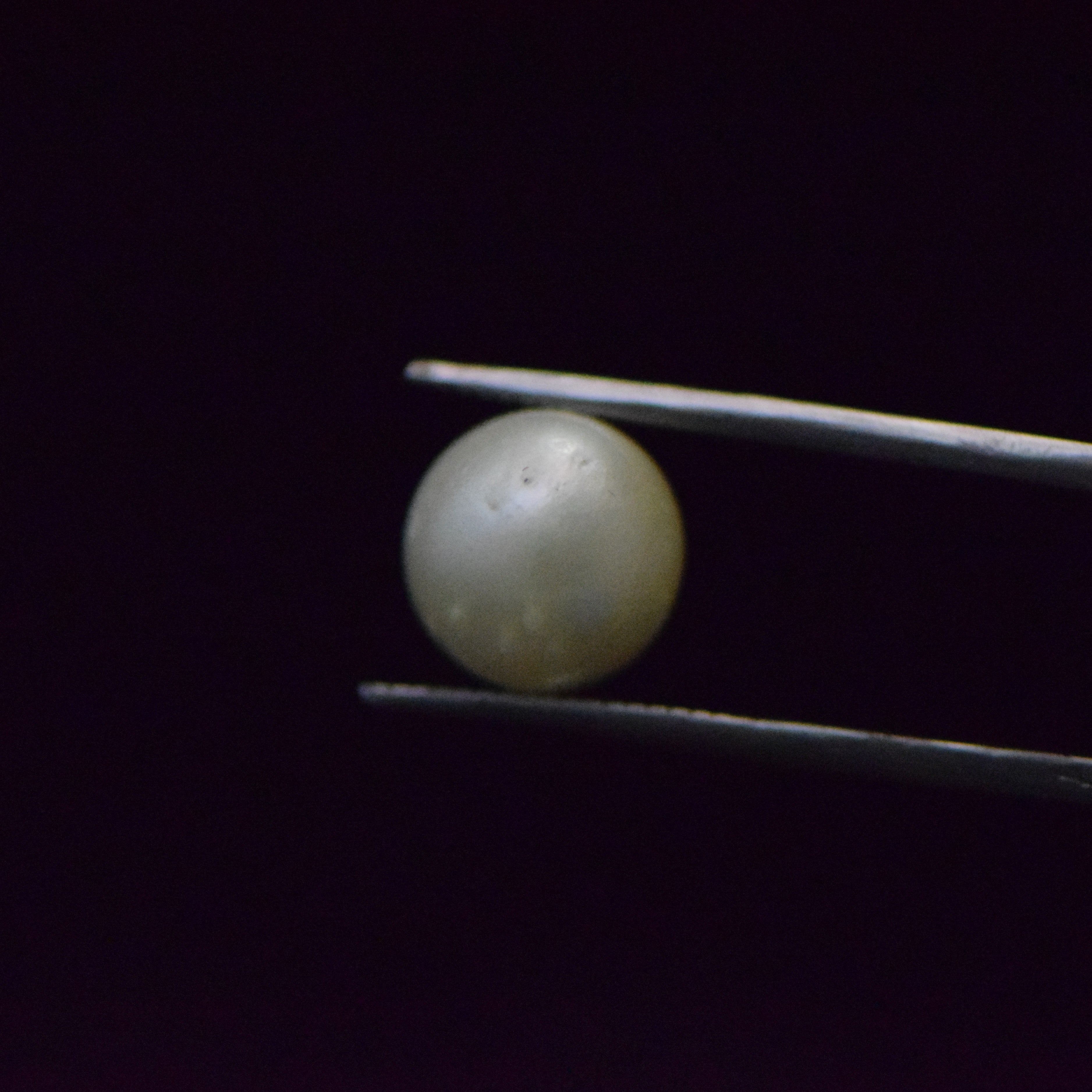 South Sea Pearl - 8.36 Carat
