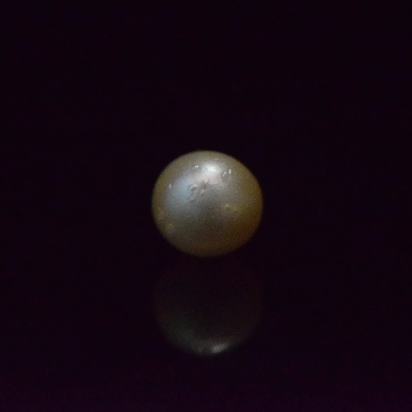 South Sea Pearl - 8.32 Carat