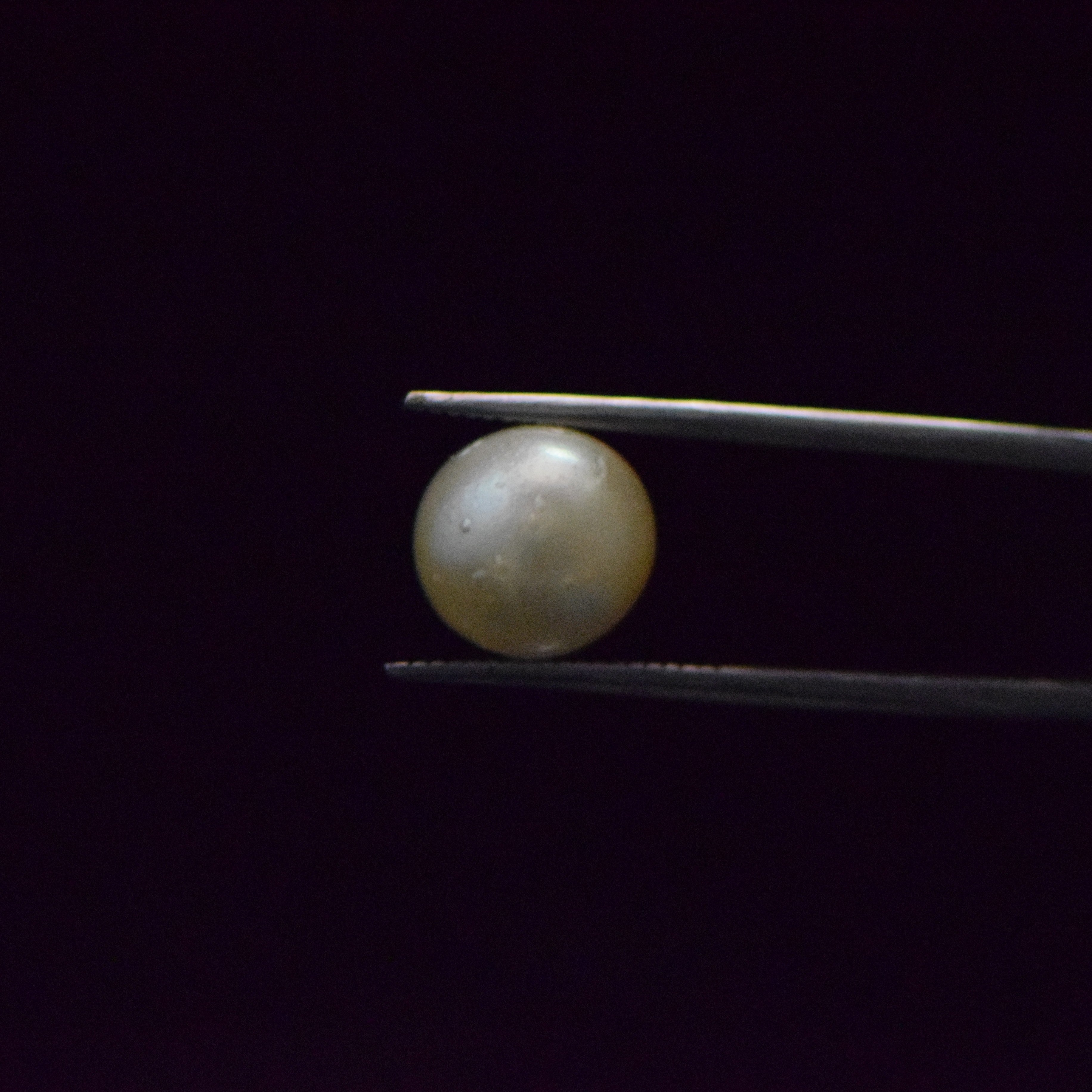 South Sea Pearl - 8.32 Carat