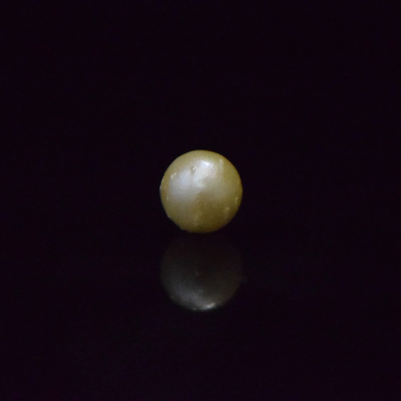 South Sea Pearl - 6.53 Carat