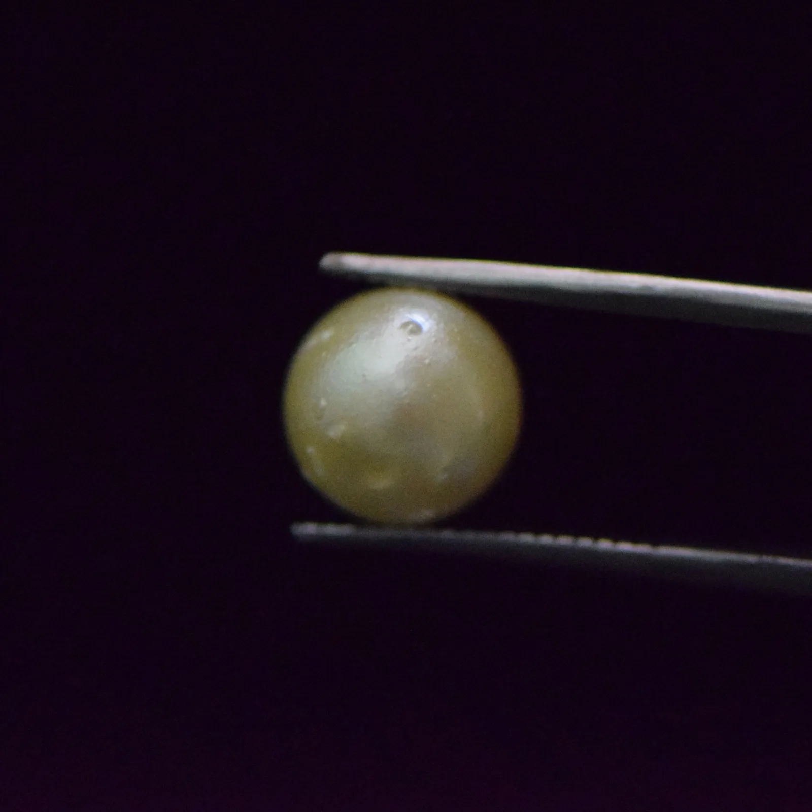 South Sea Pearl - 6.53 Carat