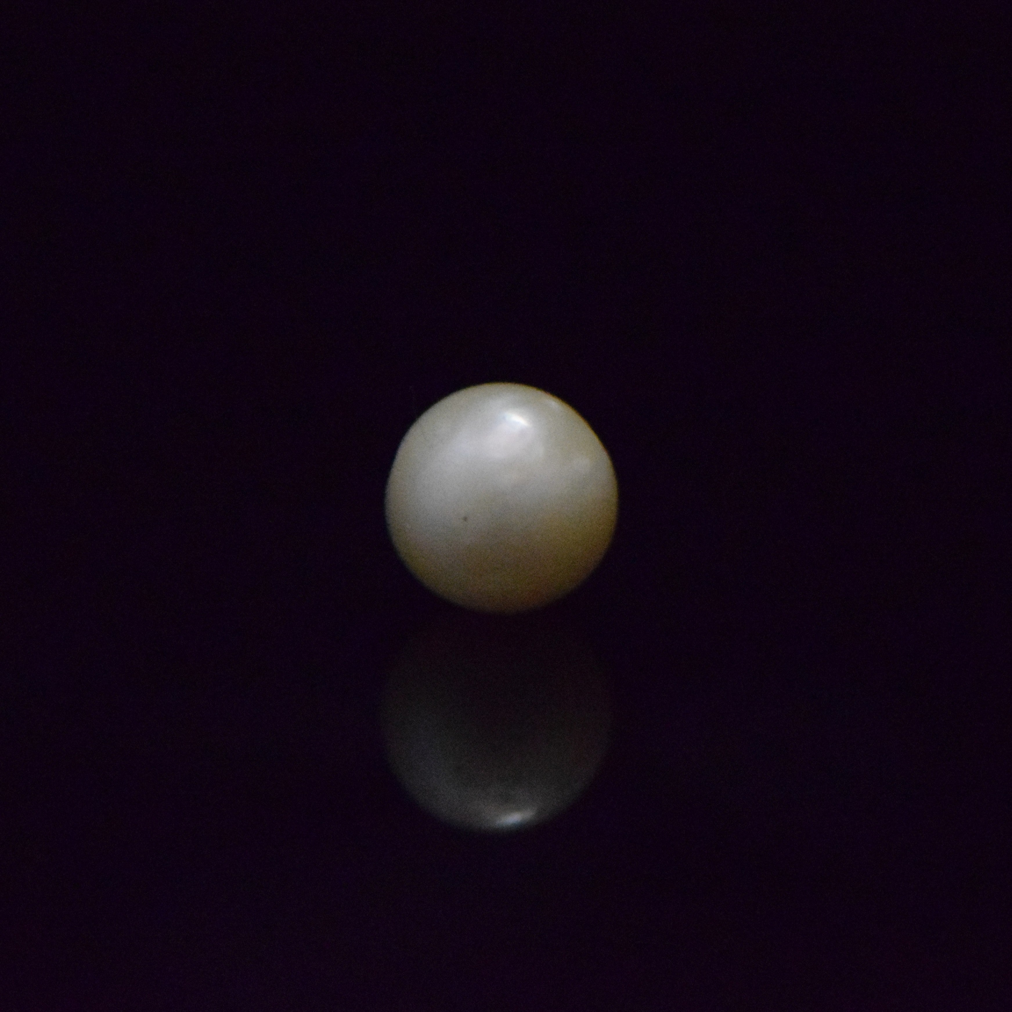 South Sea Pearl - 7.36 Carat