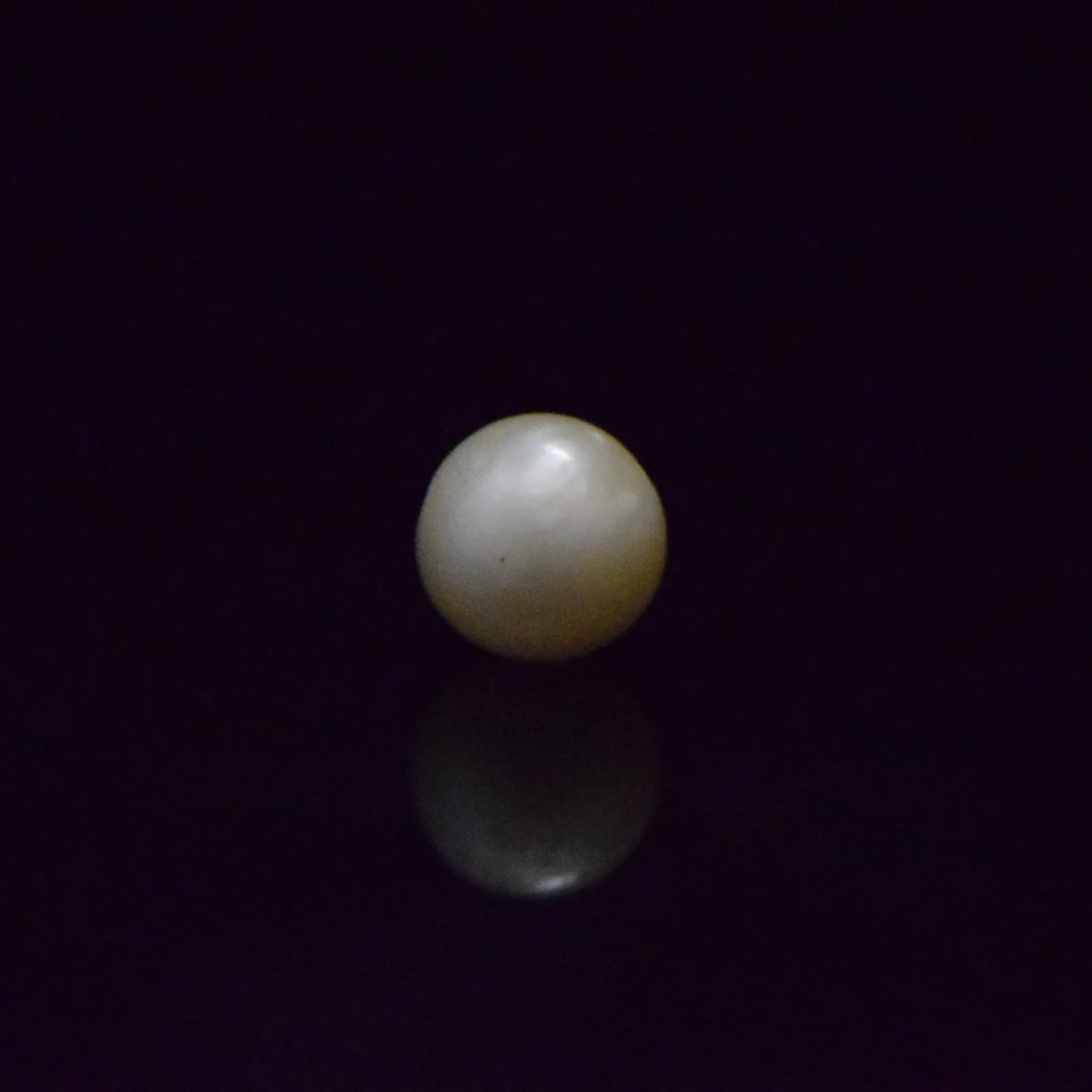 South Sea Pearl - 7.36 Carat