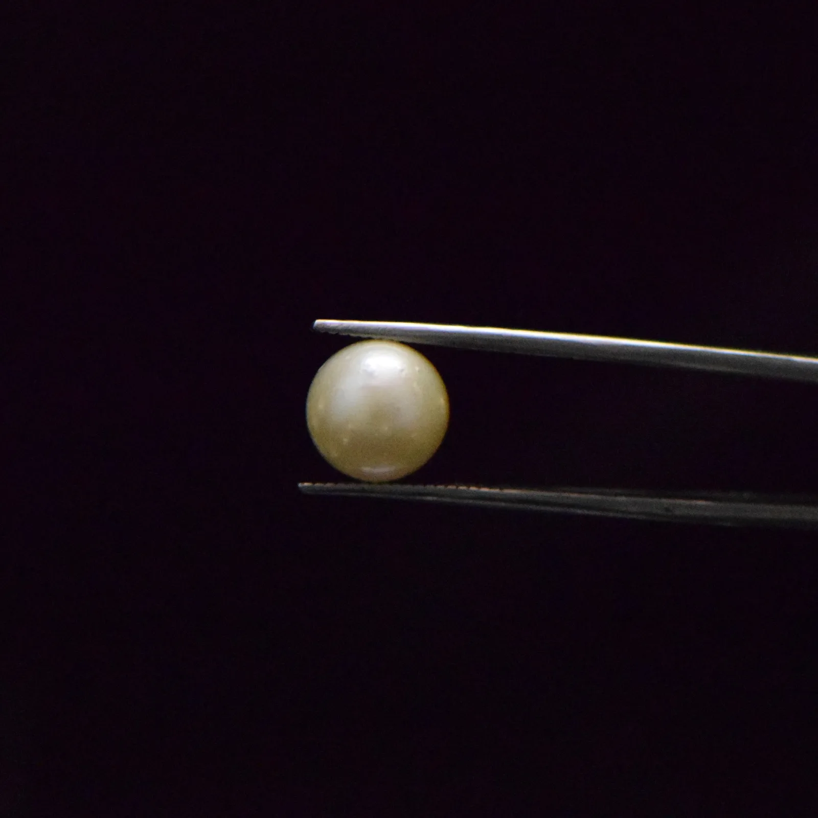 South Sea Pearl - 8.57 Carats