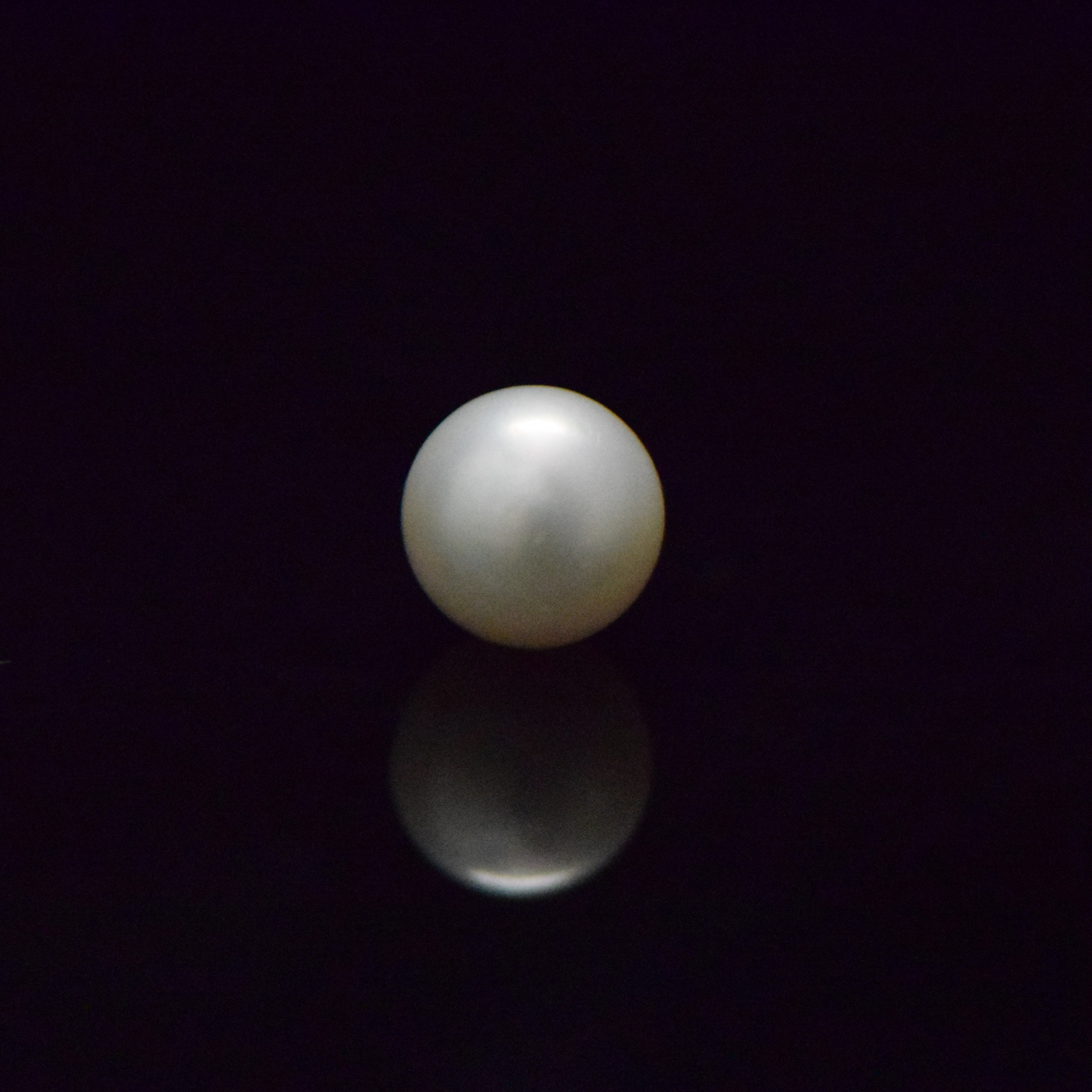 South Sea Pearl - 8.43 Carat