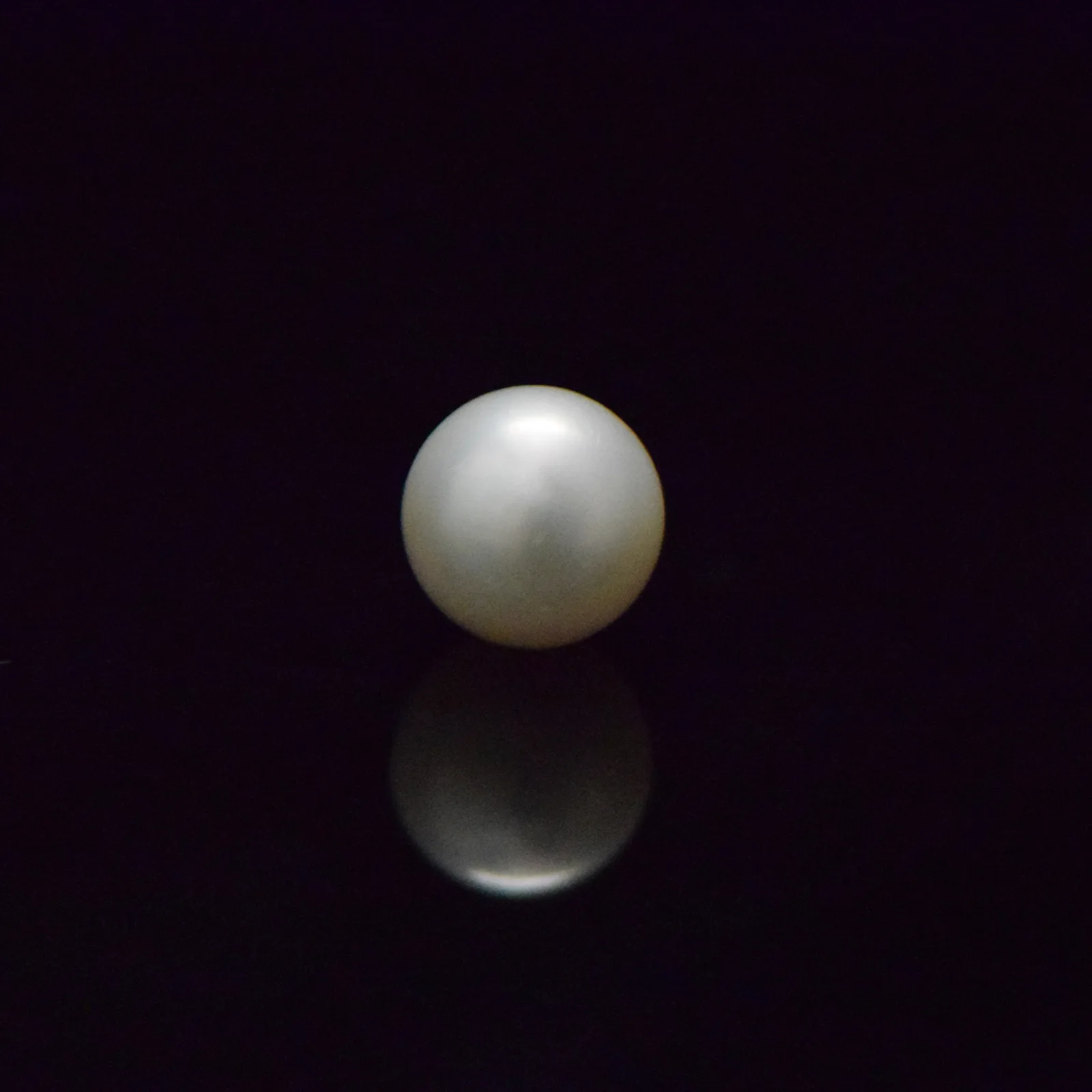 South Sea Pearl - 8.43 Carat