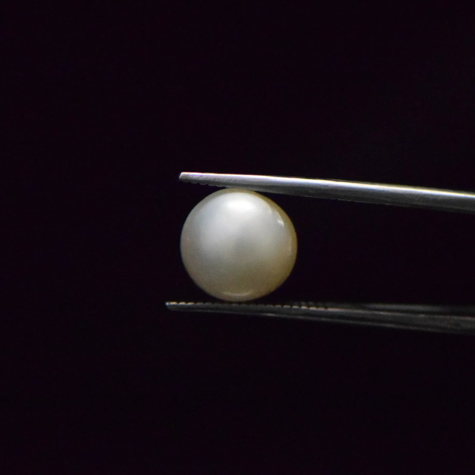 South Sea Pearl - 8.43 Carat
