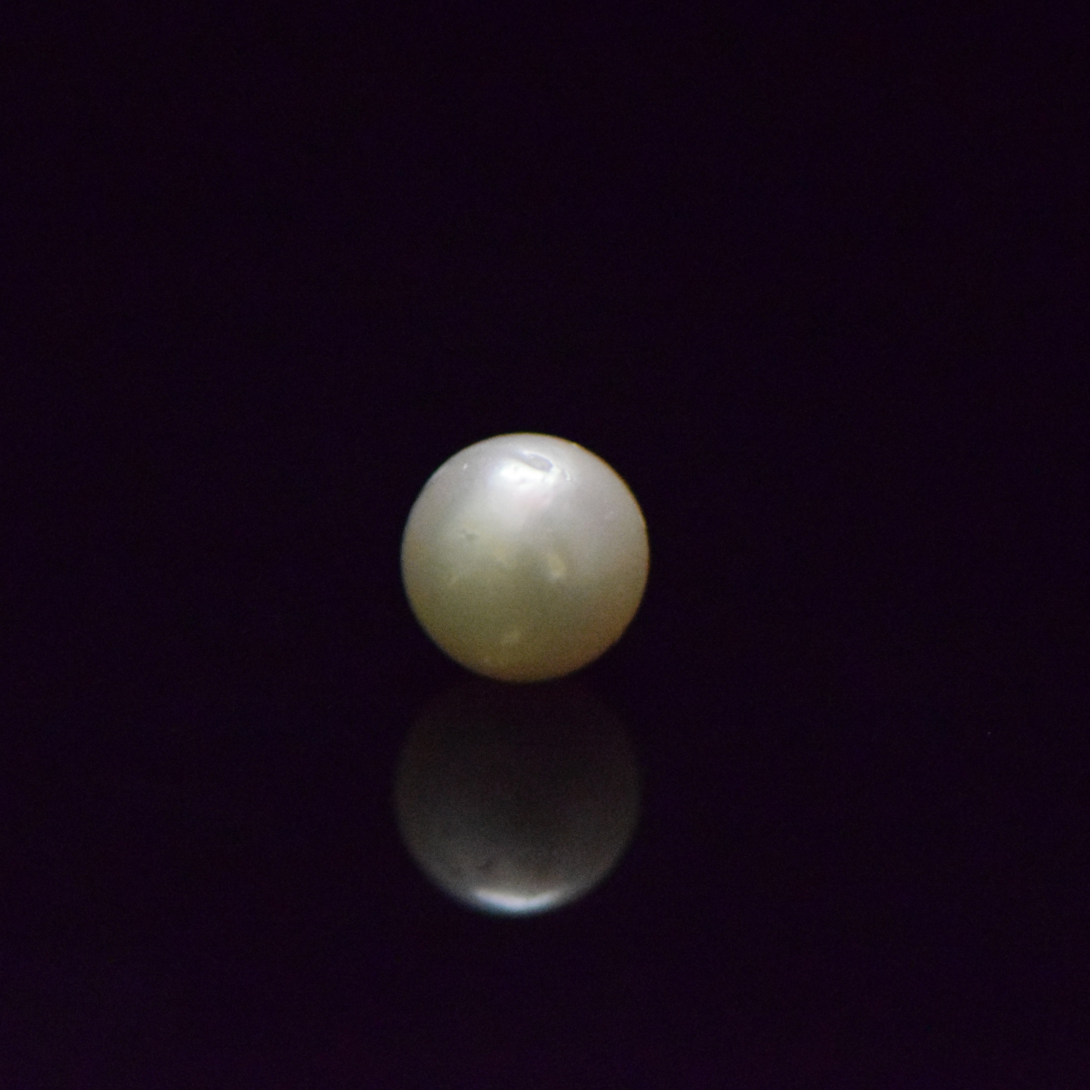 South Sea Pearl - 7.67 Carat