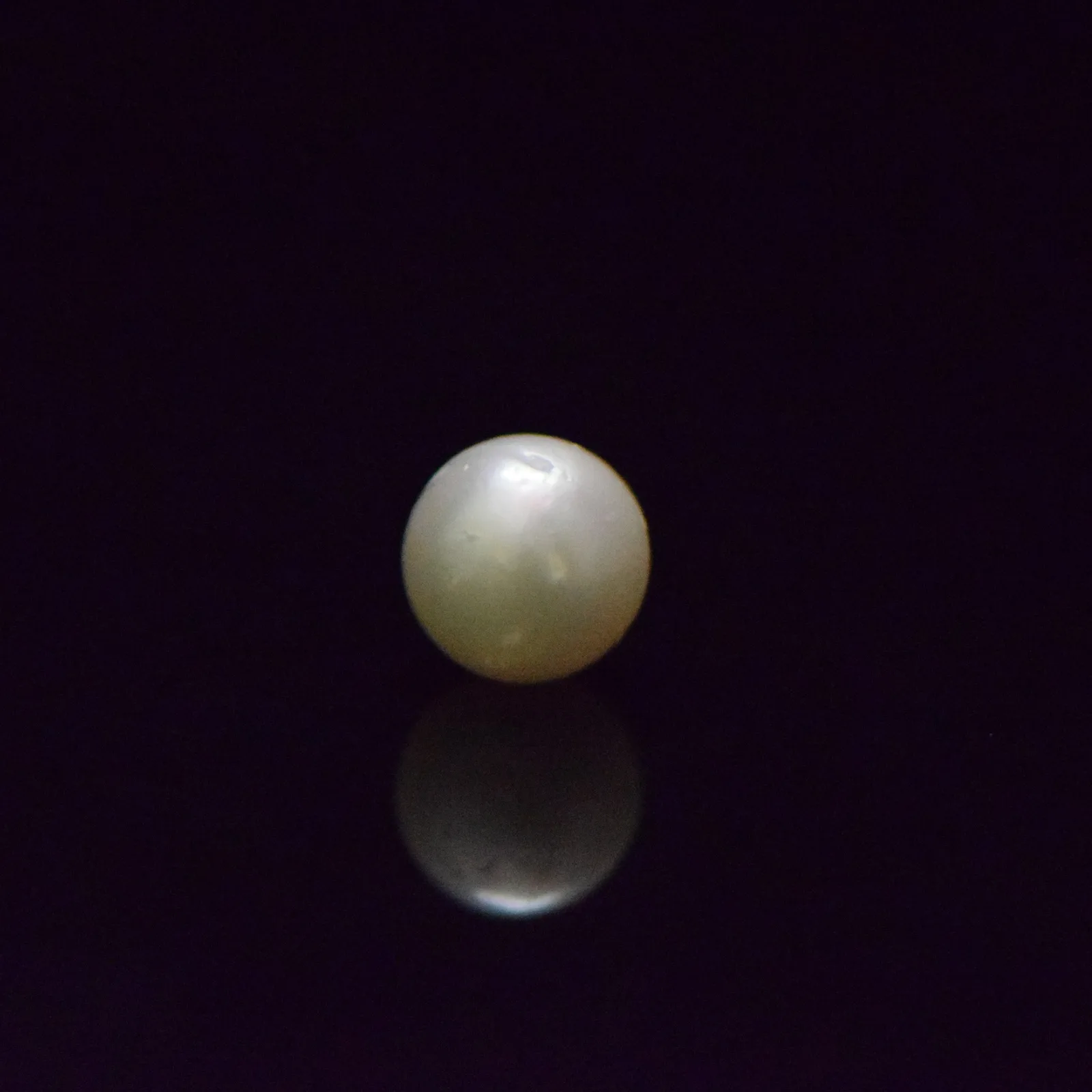 South Sea Pearl - 7.67 Carat