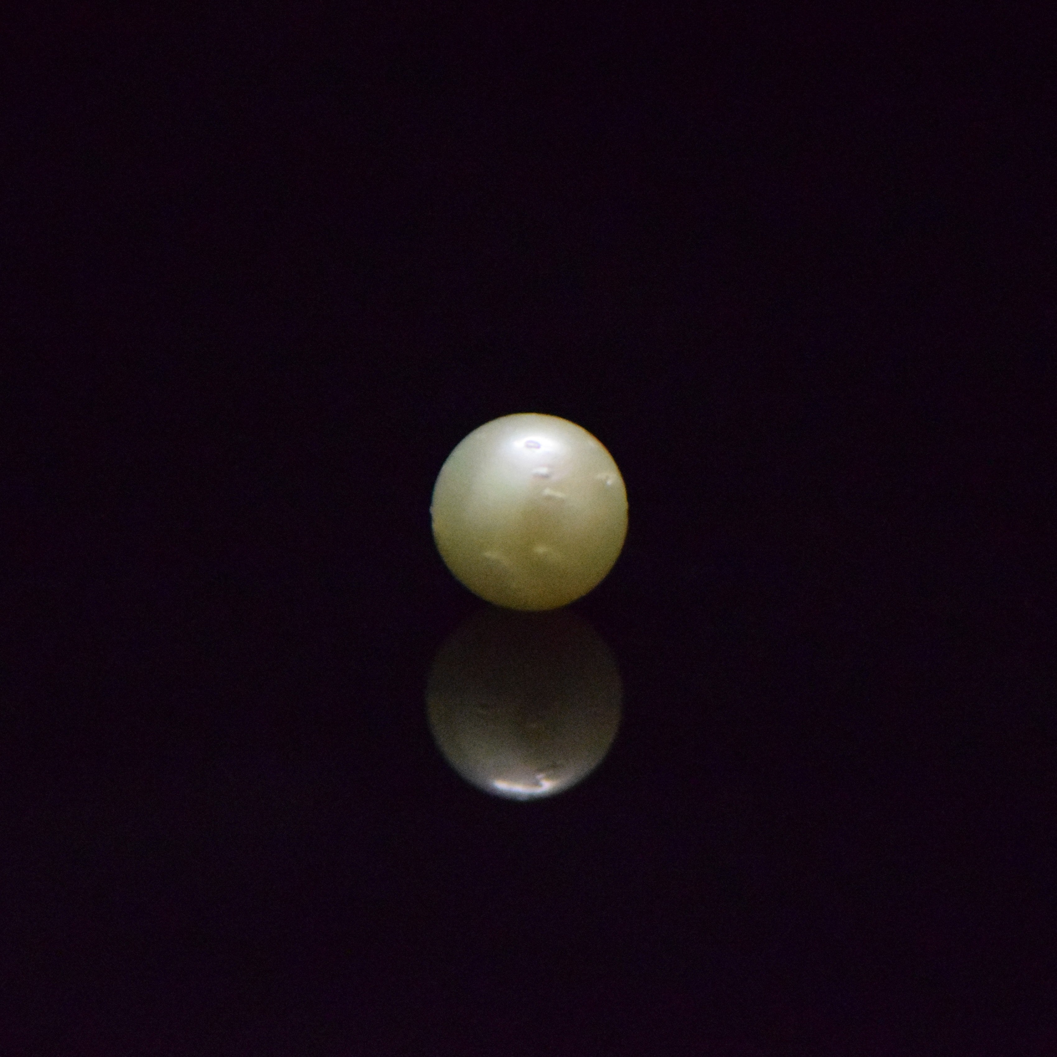 South Sea Pearl - 6.39 Carat