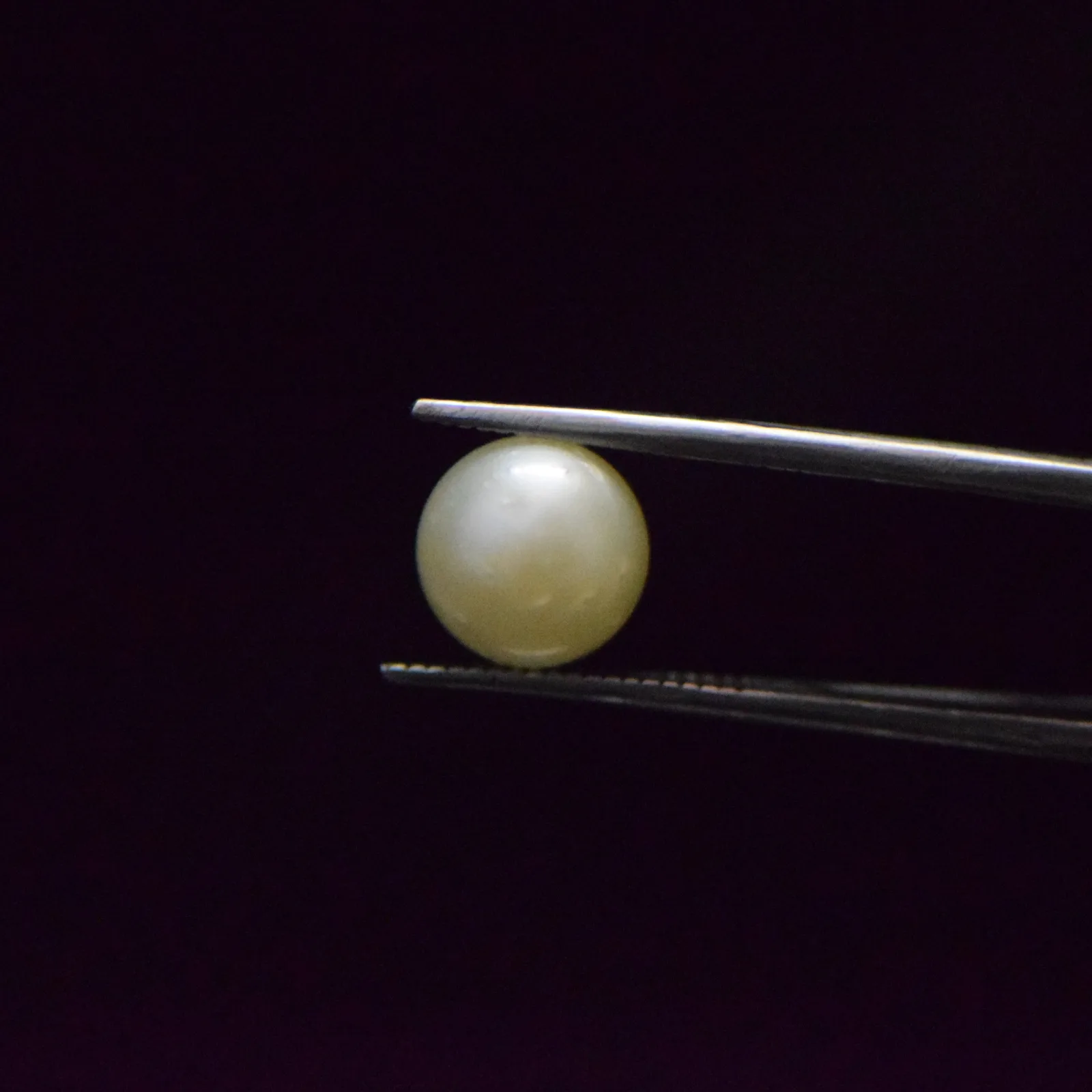 South Sea Pearl - 6.39 Carat