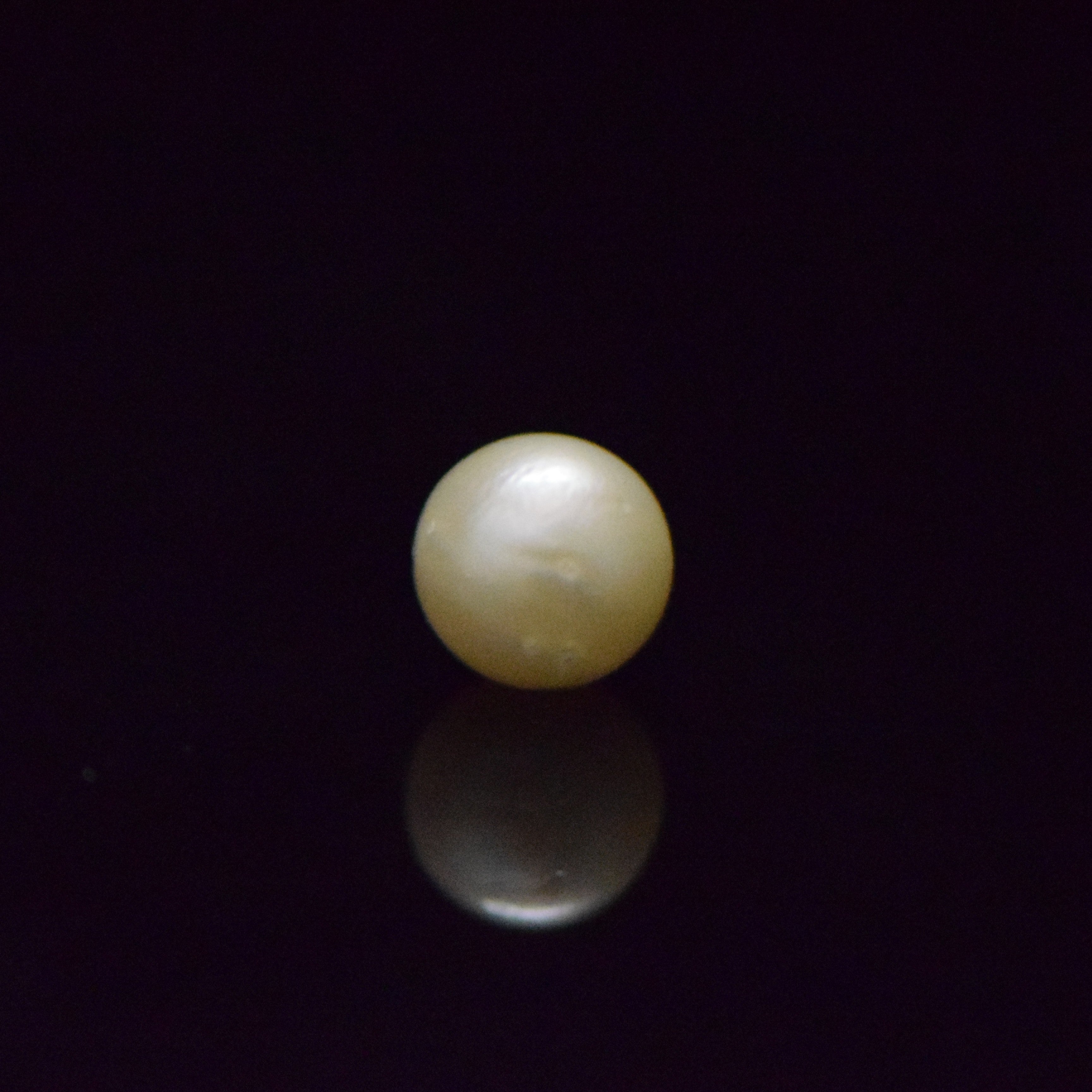 South Sea Pearl - 8.49 Carat