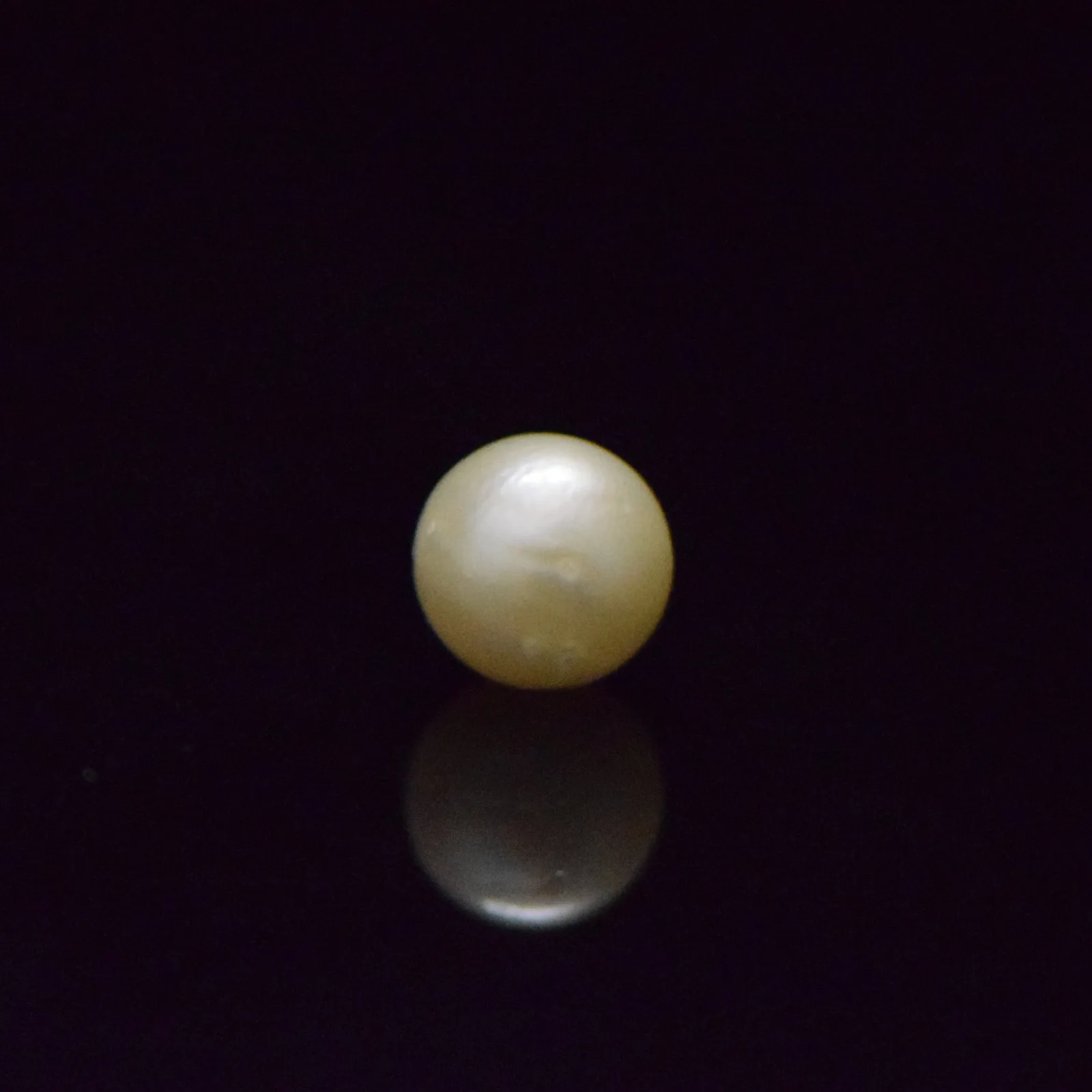 South Sea Pearl - 8.49 Carat