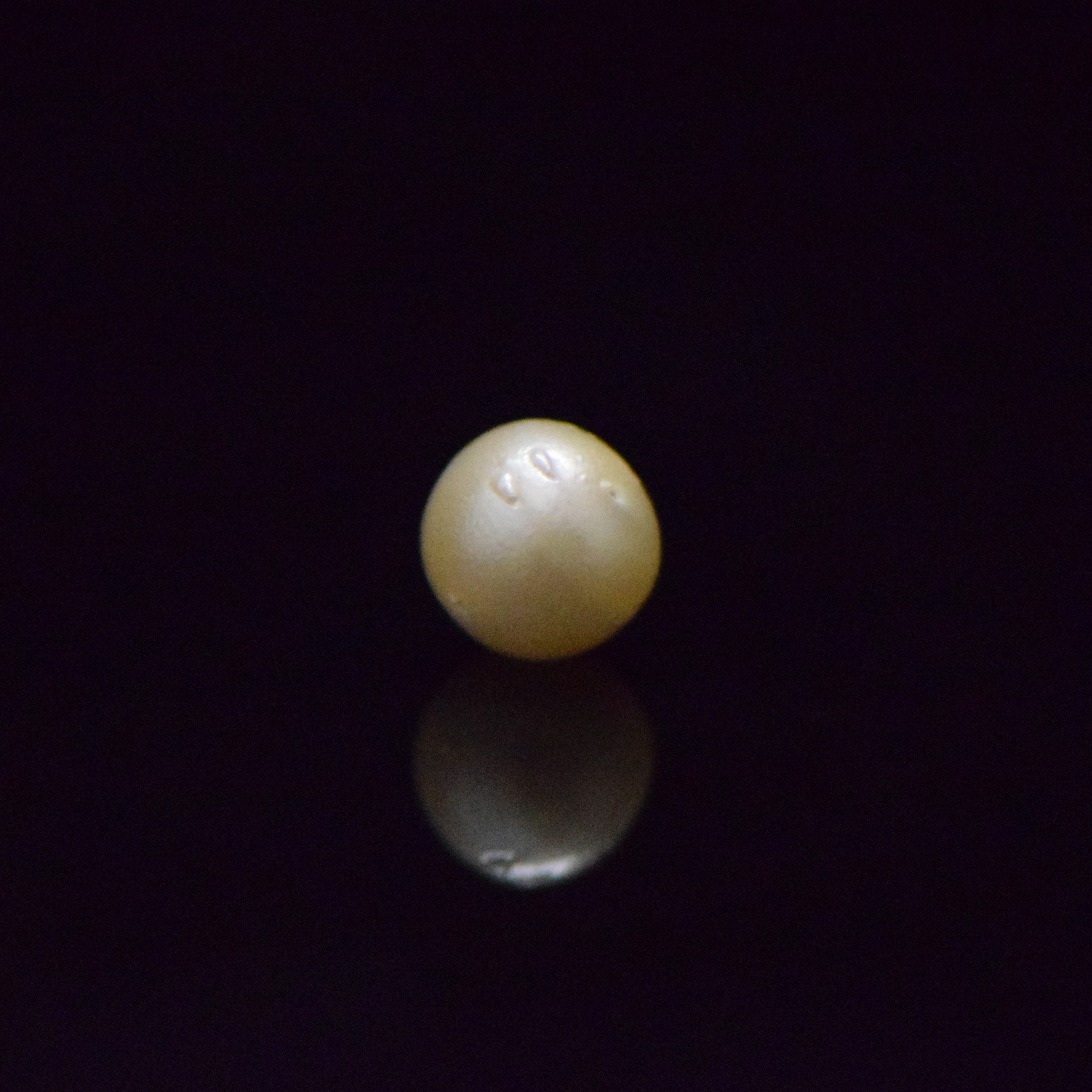 South Sea Pearl - 7.52 Carat