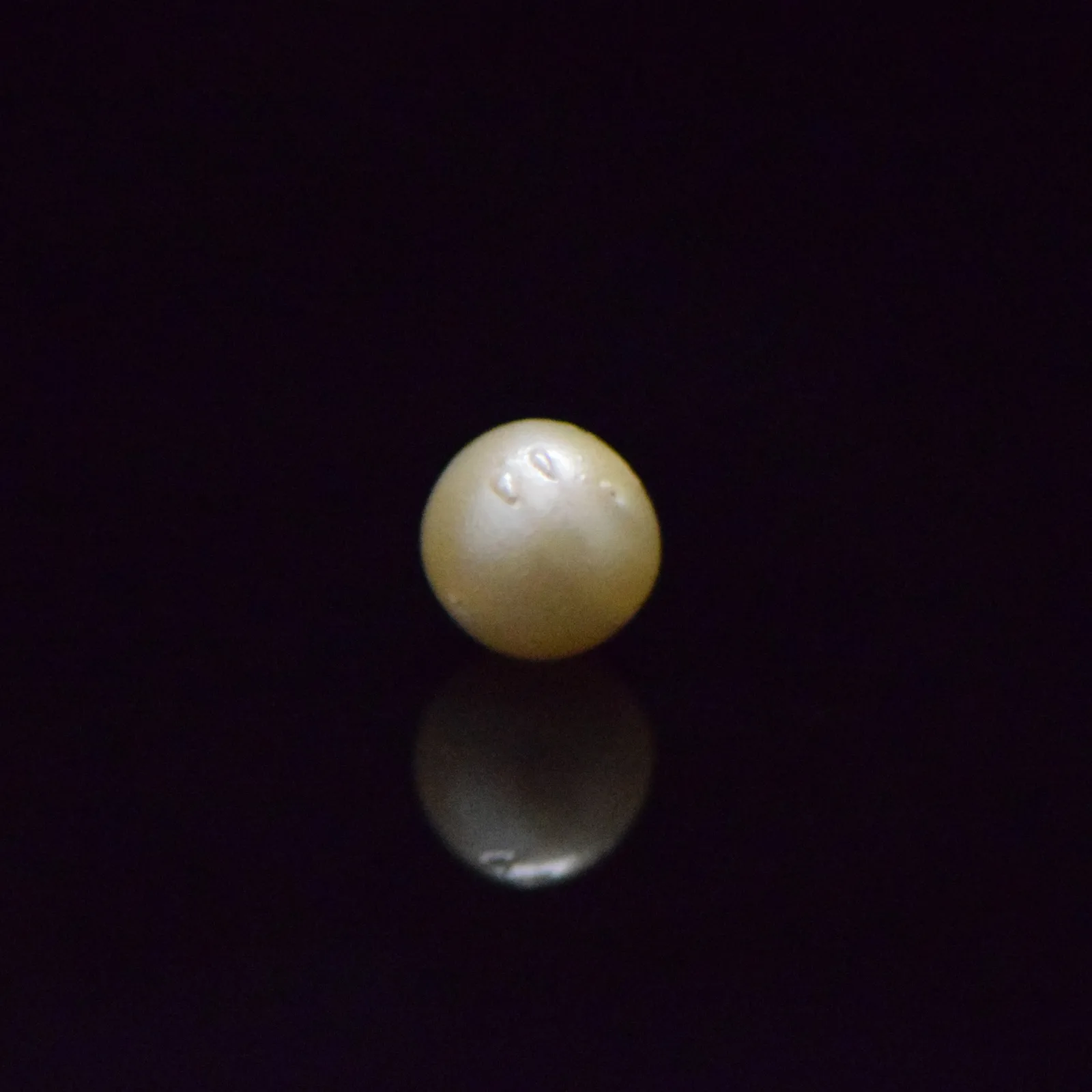 South Sea Pearl - 7.52 Carat