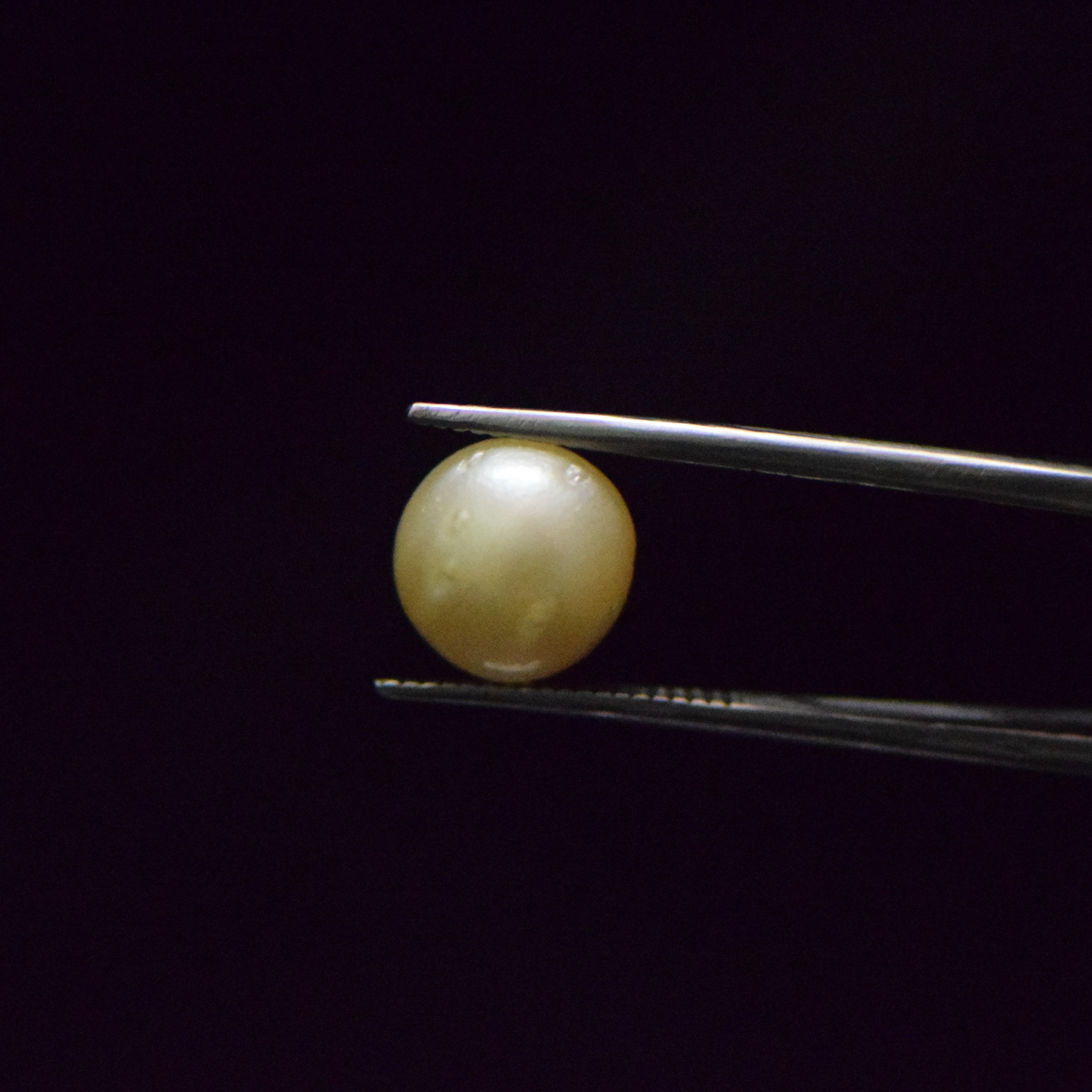 South Sea Pearl - 7.52 Carat