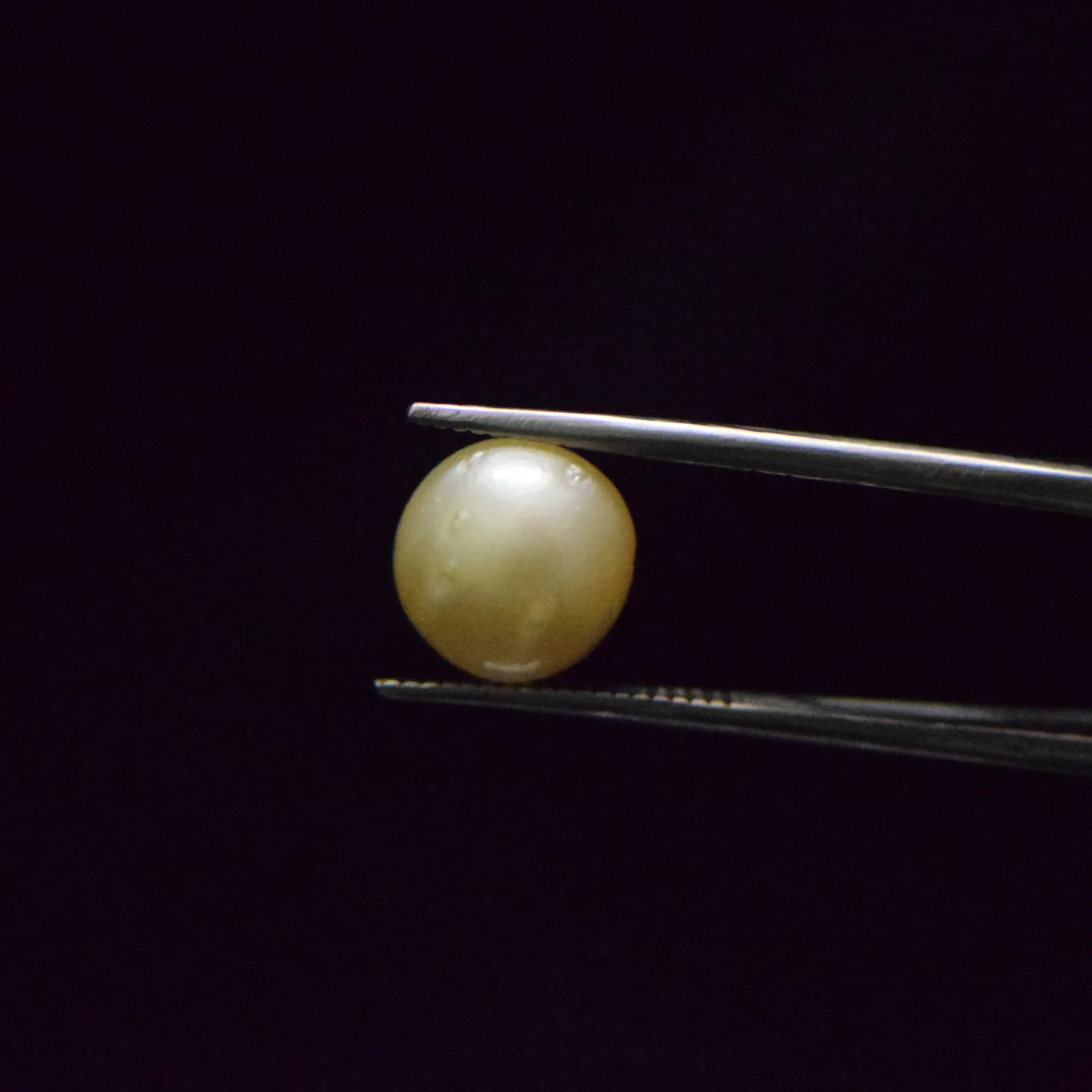 South Sea Pearl - 7.52 Carat