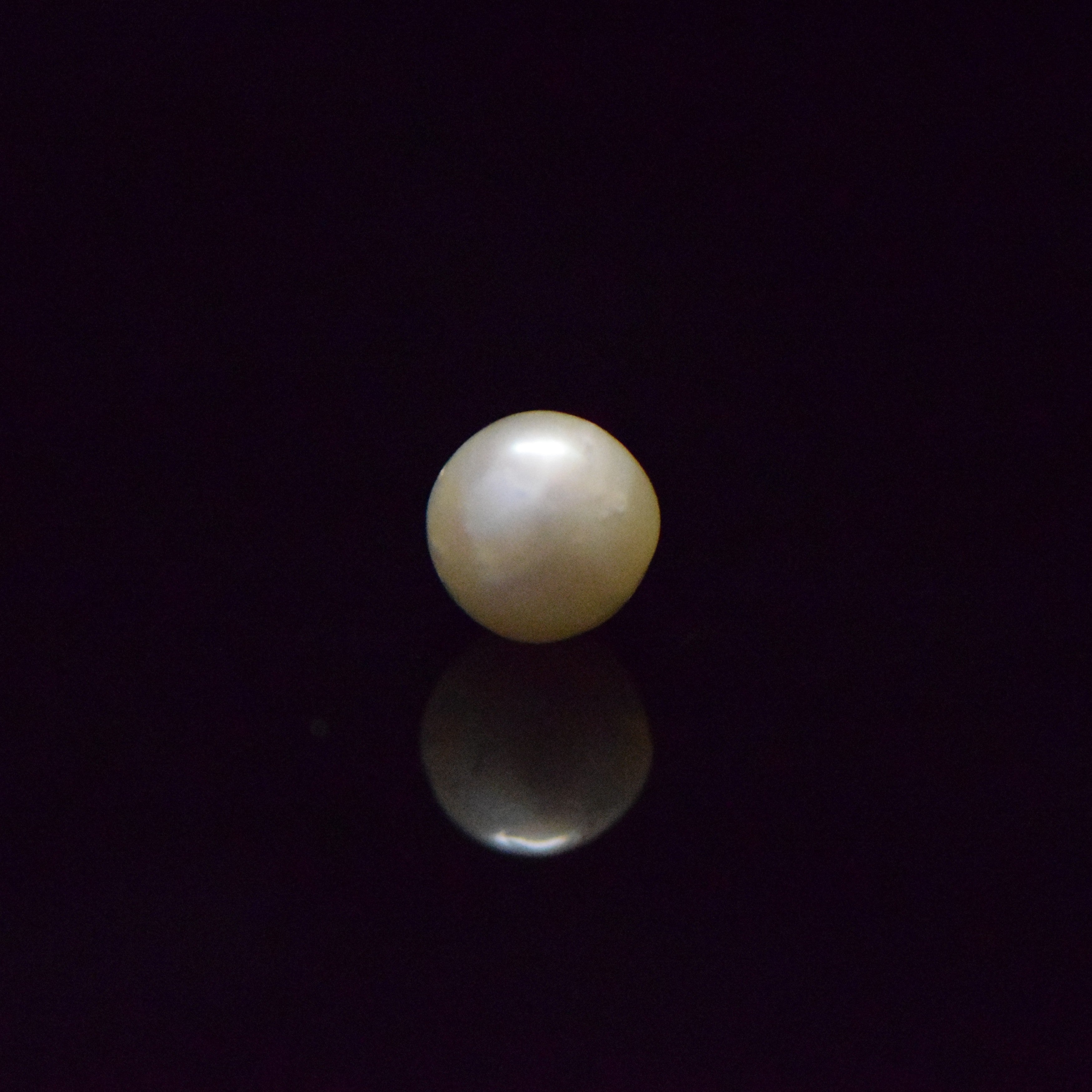 South Sea Pearl - 6.78 Carat