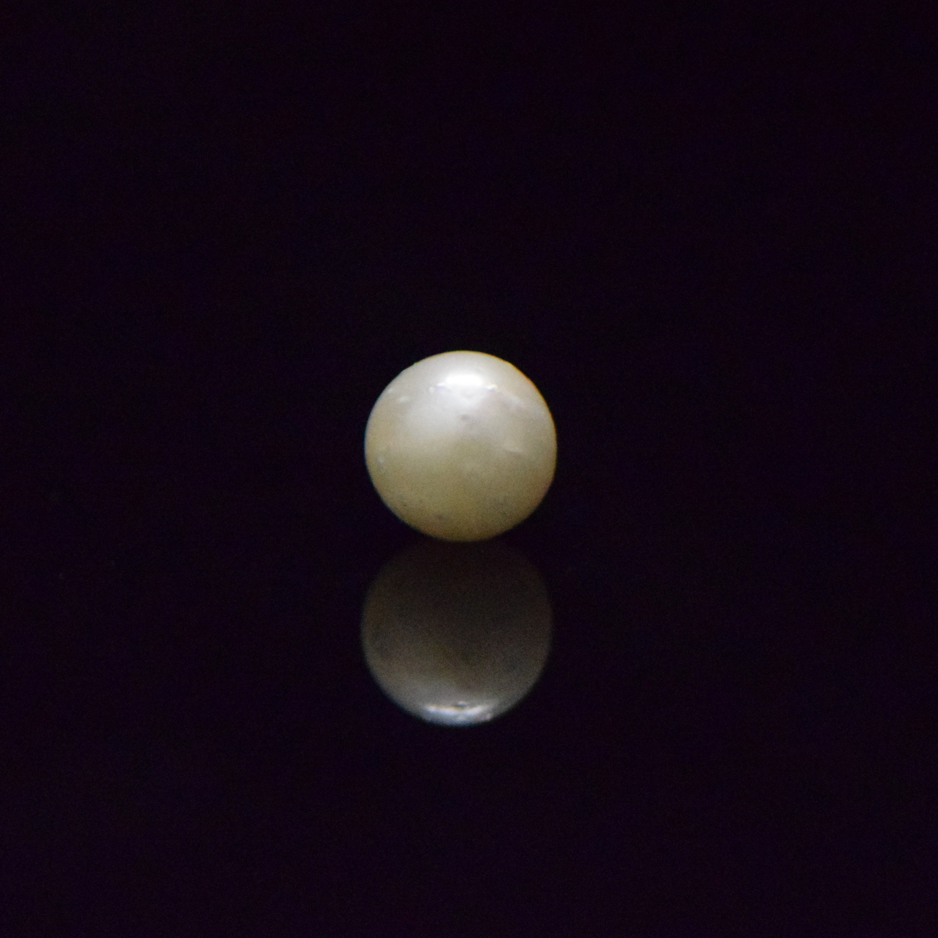 South Sea Pearl - 6.53 Carat