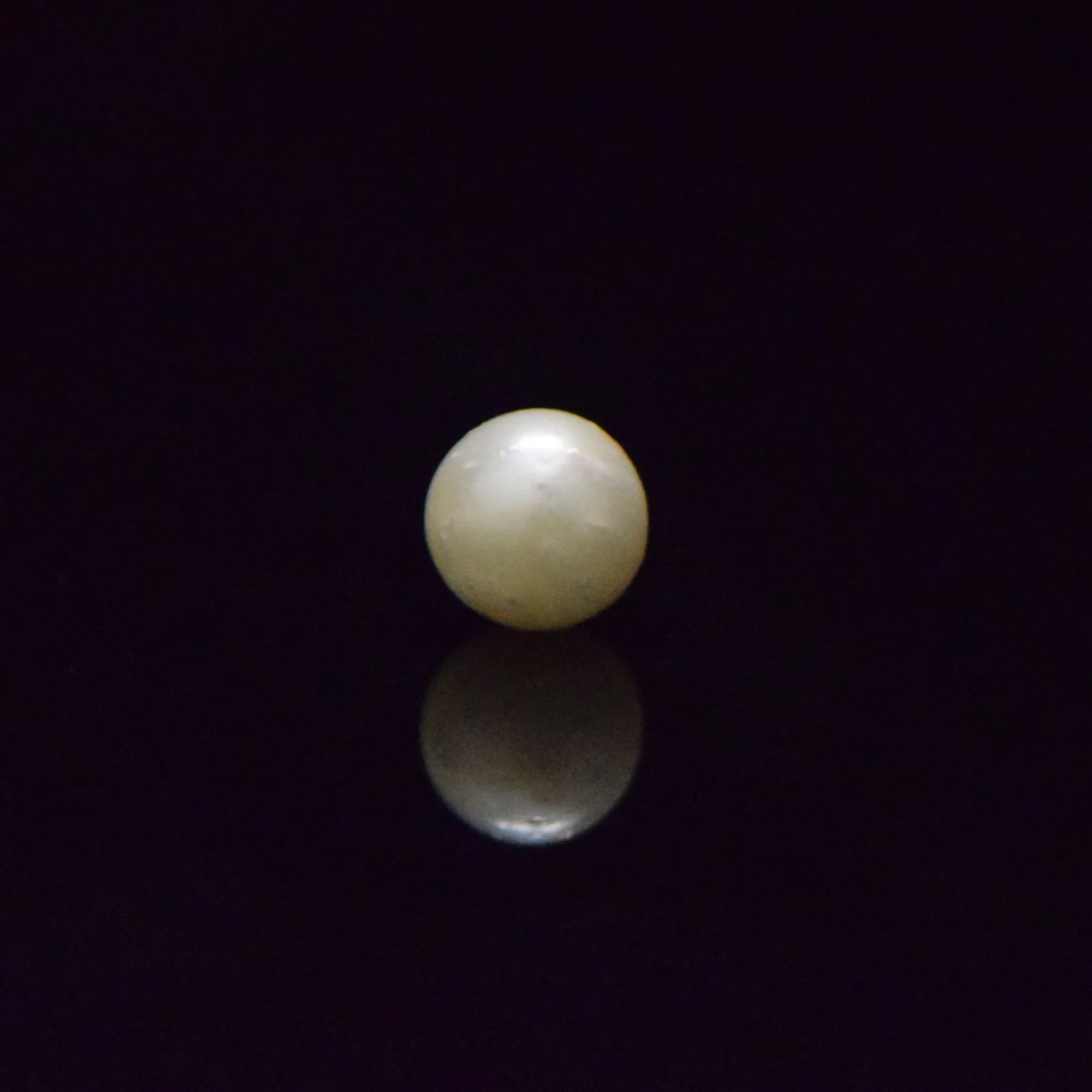 South Sea Pearl - 6.53 Carat