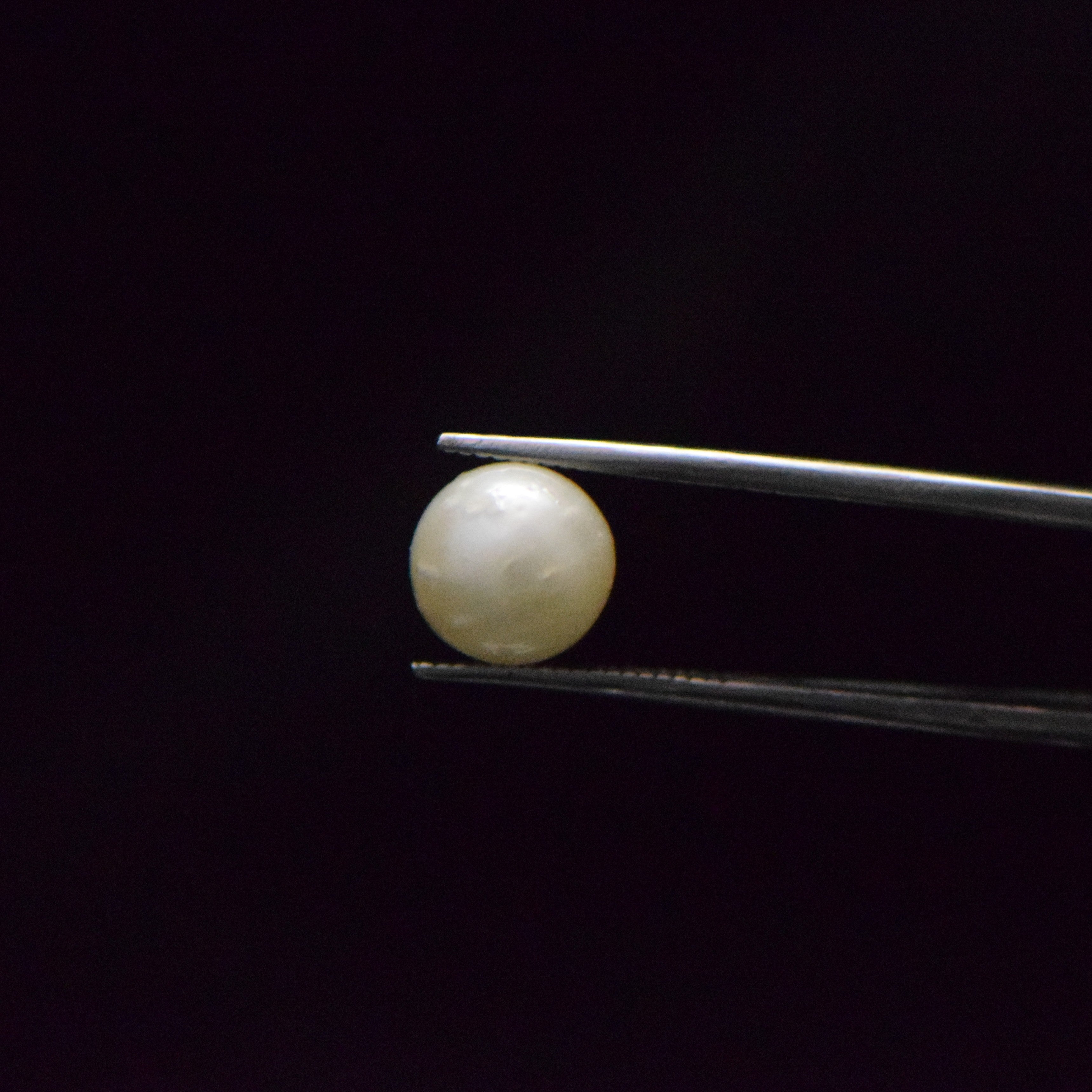 South Sea Pearl - 6.53 Carat