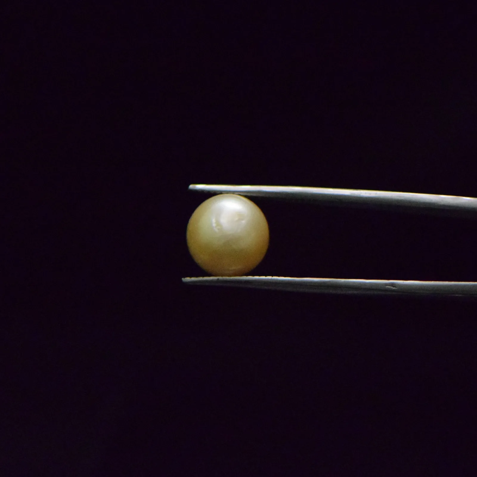 South Sea Pearl - 8.68 Carat