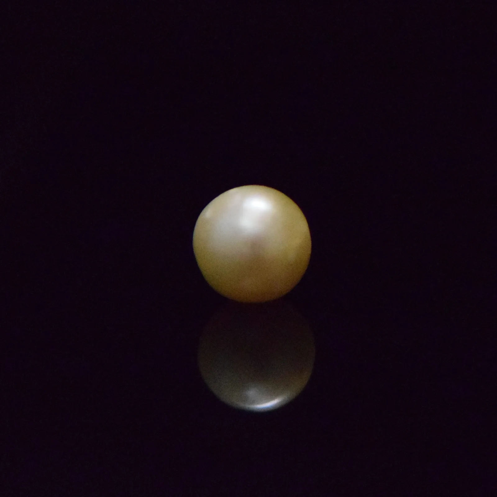 South Sea Pearl - 7.46 Carat