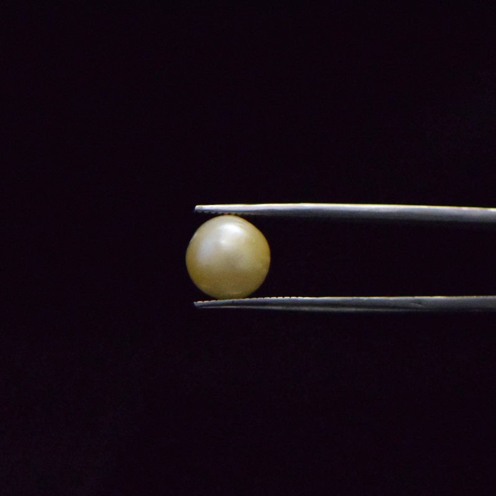 South Sea Pearl - 7.46 Carat