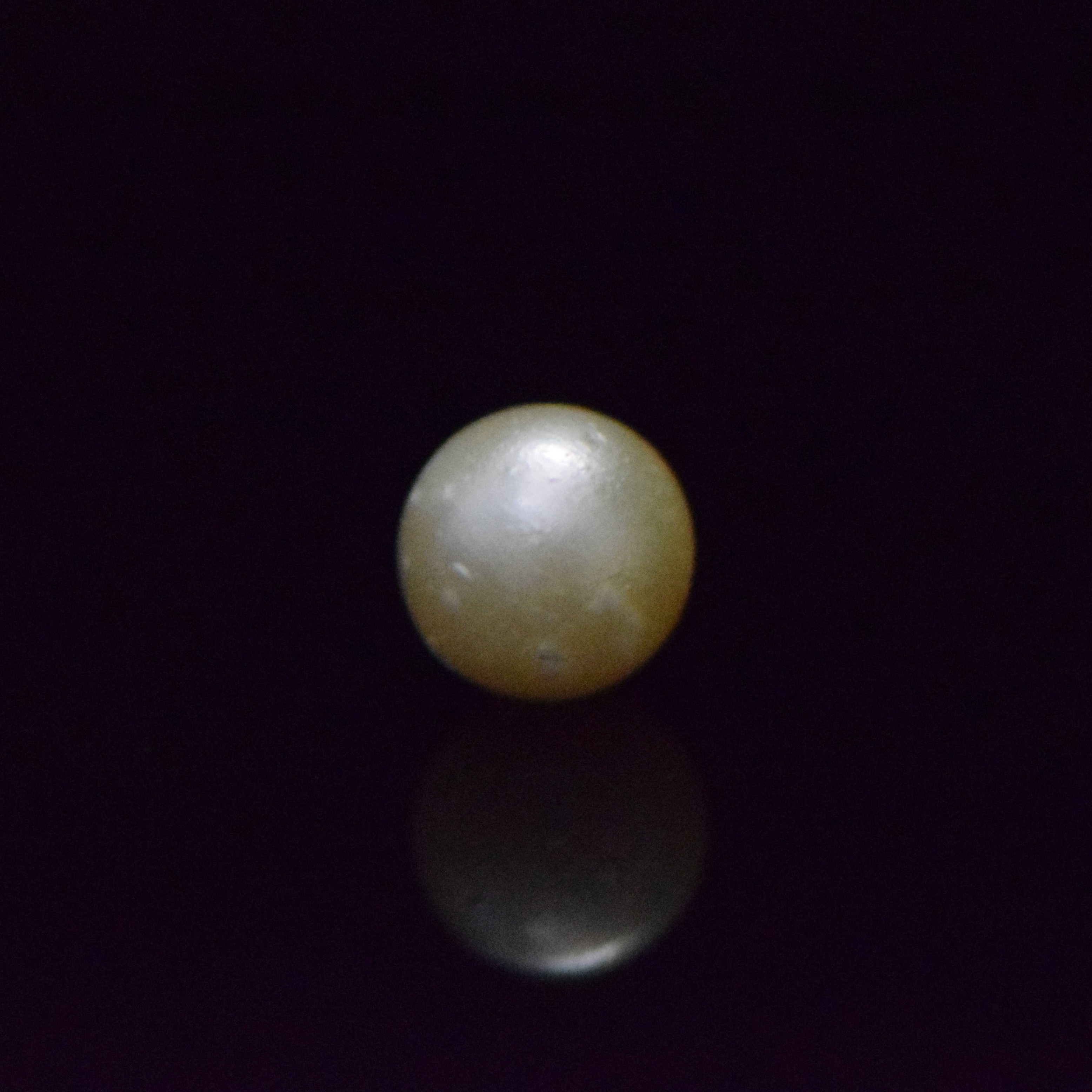 South Sea Pearl - 9.14 Carat