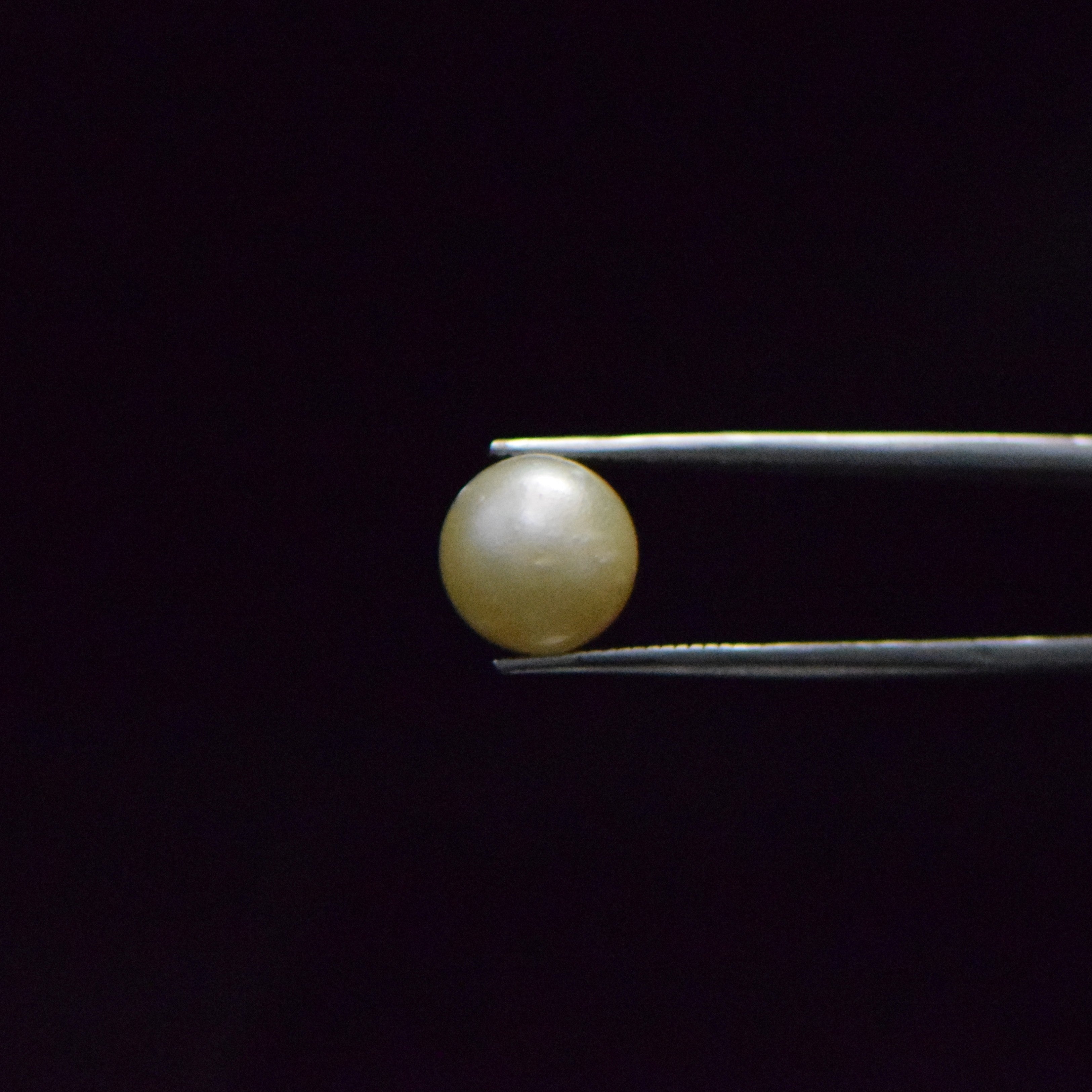 South Sea Pearl - 9.14 Carat