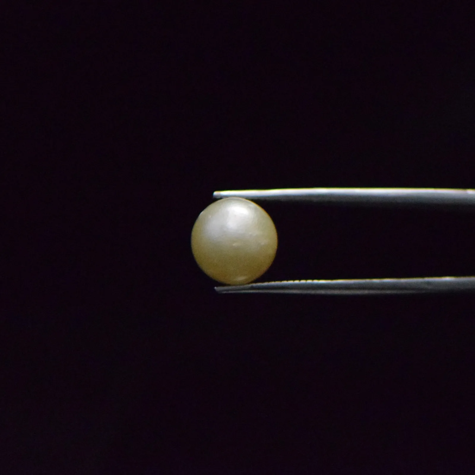 South Sea Pearl - 9.14 Carat