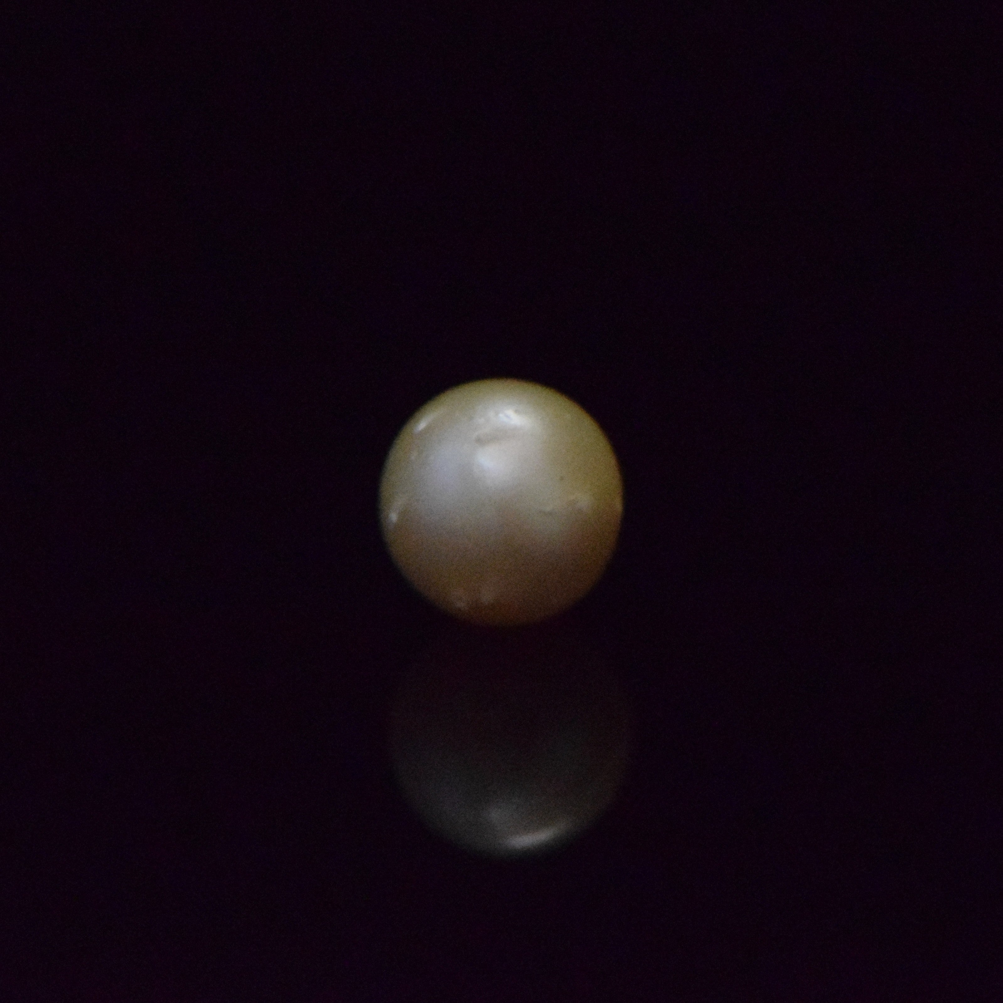 South Sea Pearl - 7.64 Carat