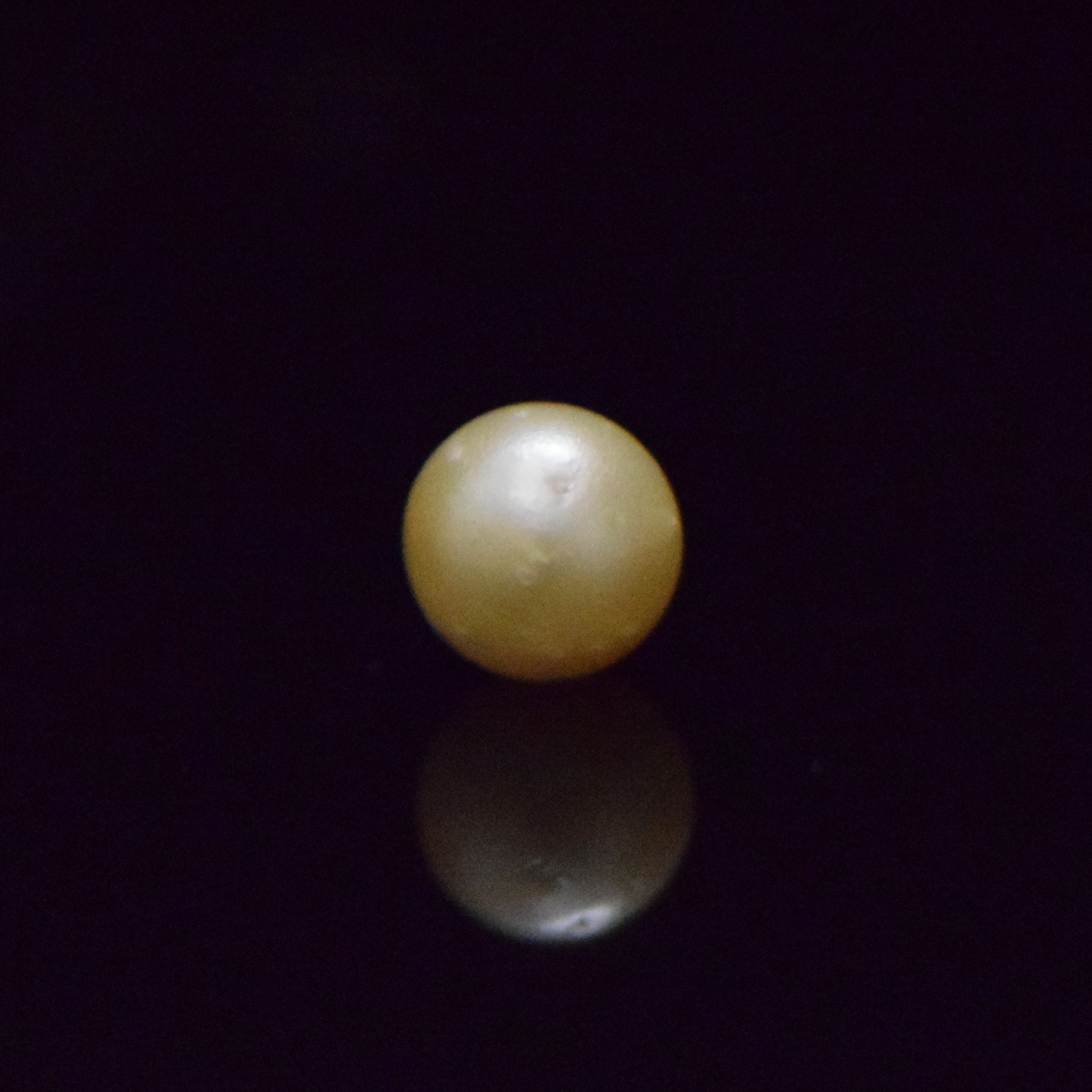 South Sea Pearl - 7.41 Carat
