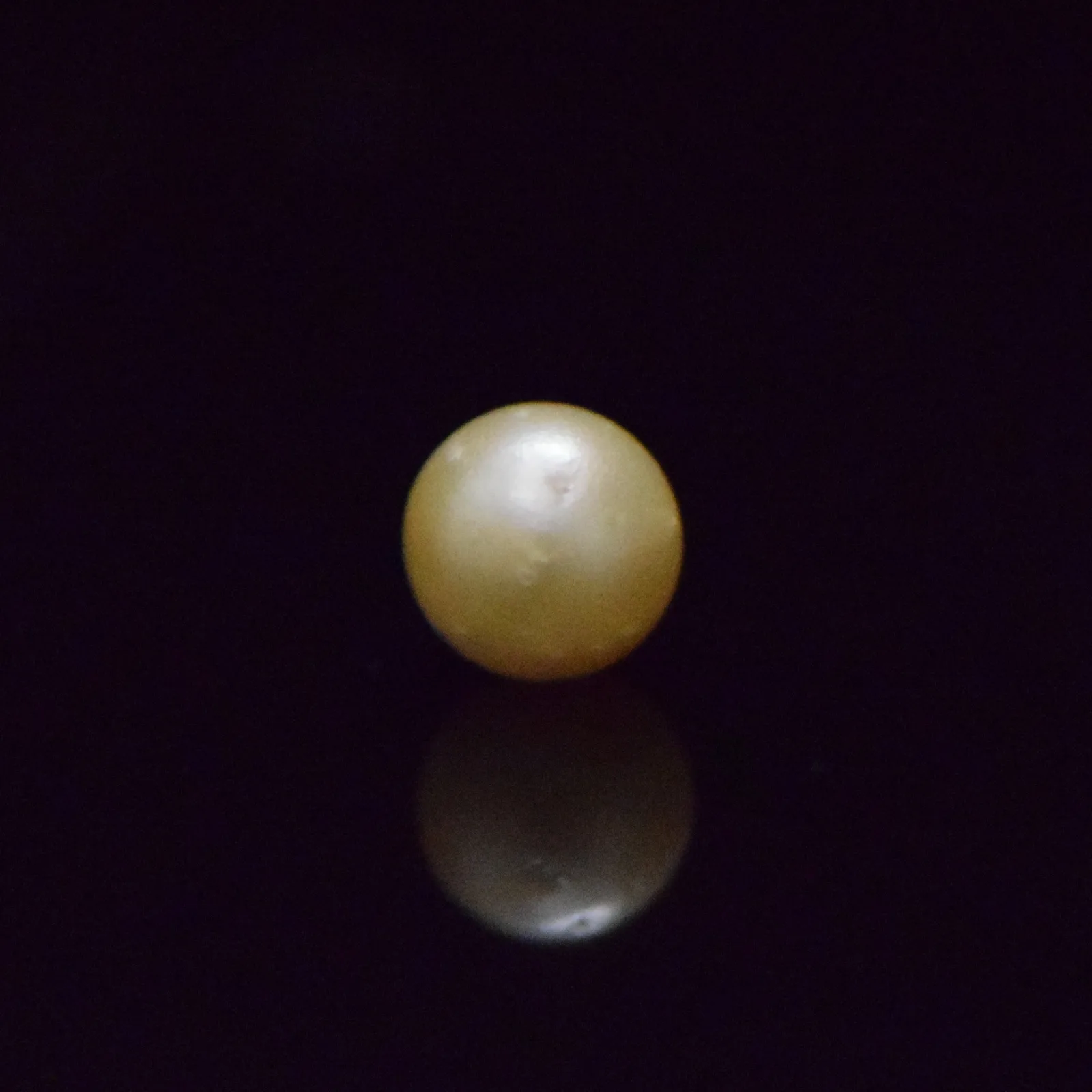South Sea Pearl - 7.41 Carat
