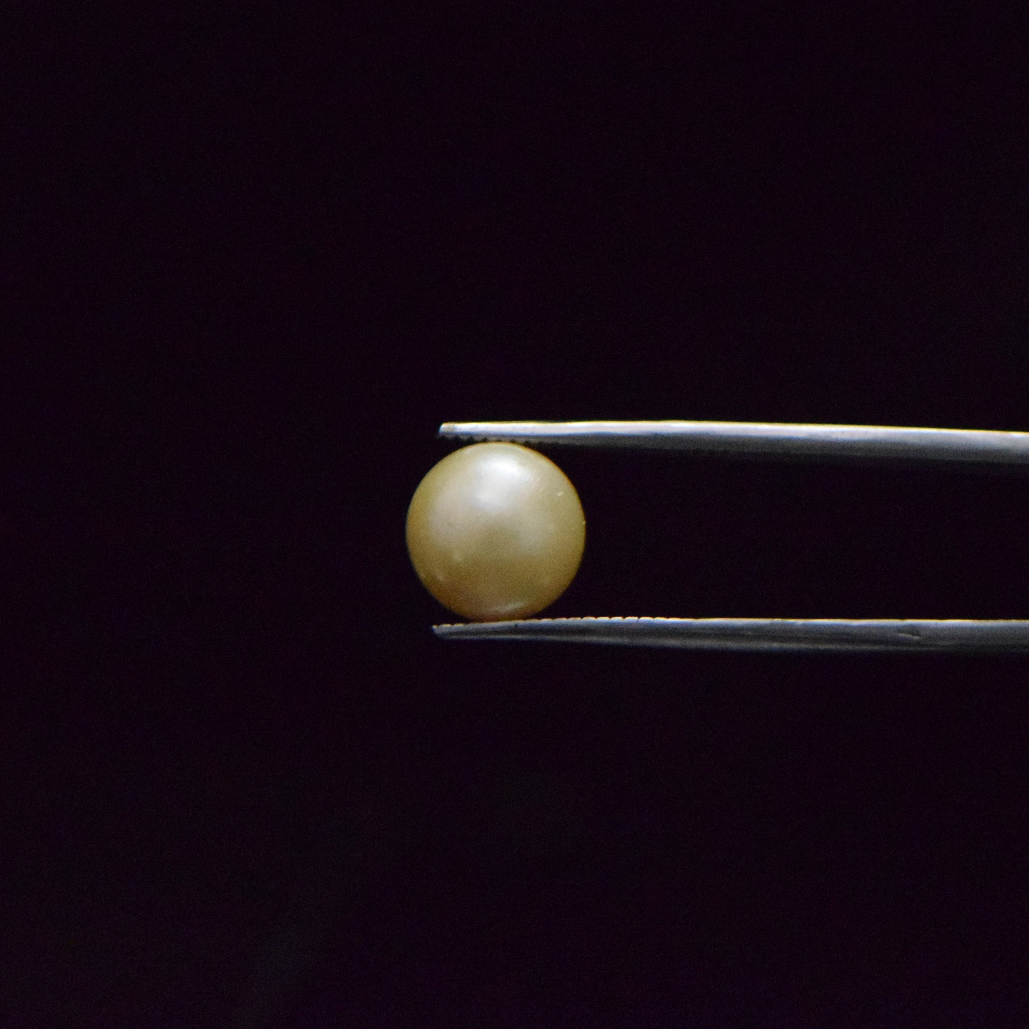 South Sea Pearl - 7.41 Carat
