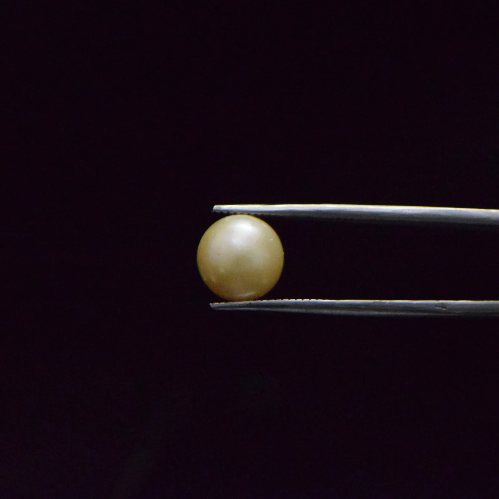 South Sea Pearl - 7.41 Carat