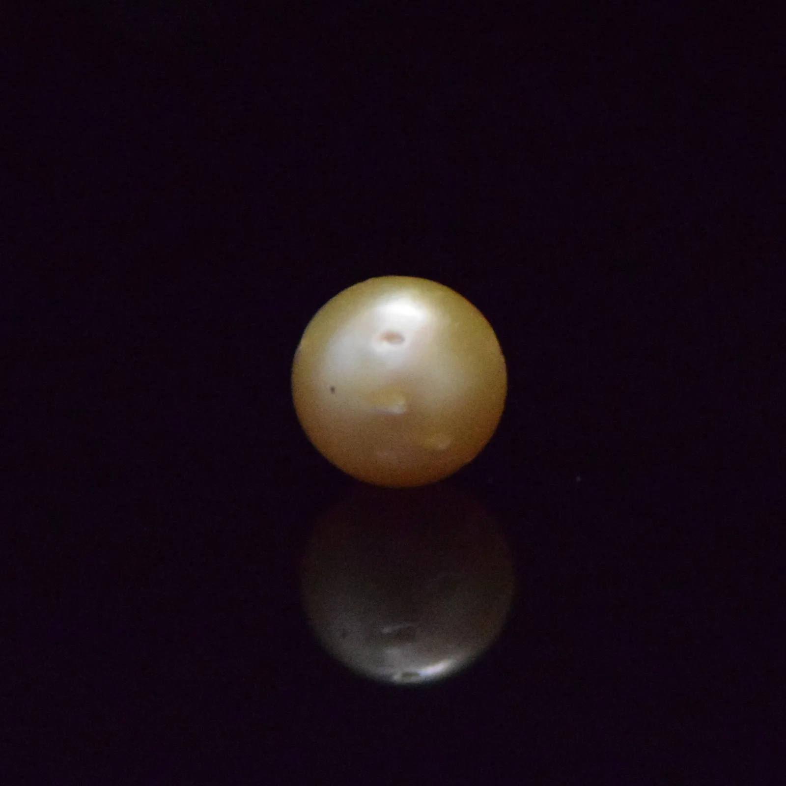 South Sea Pearl - 8.27 Carat