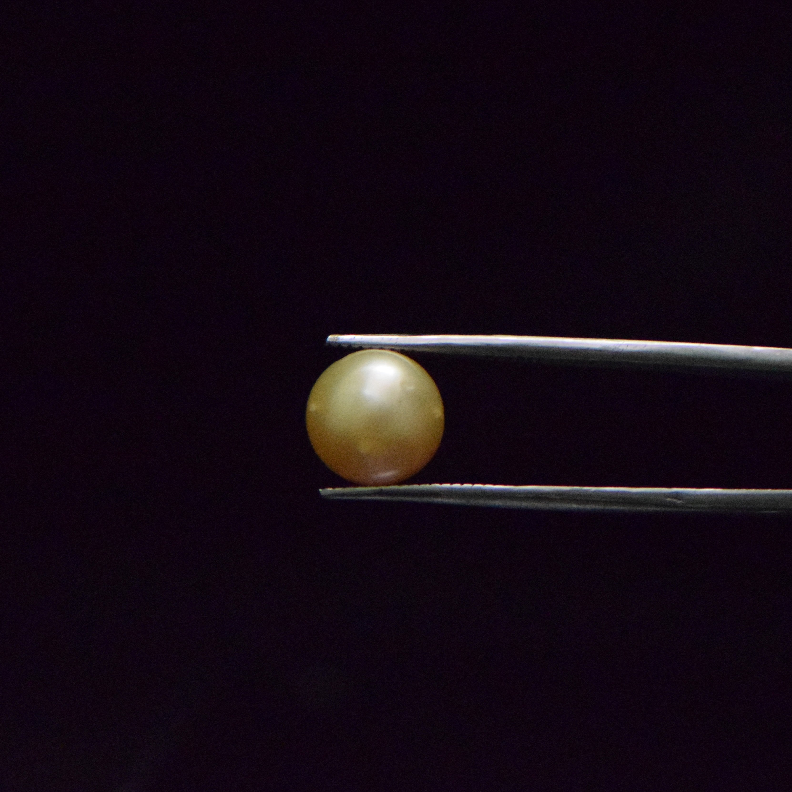 South Sea Pearl - 8.27 Carat