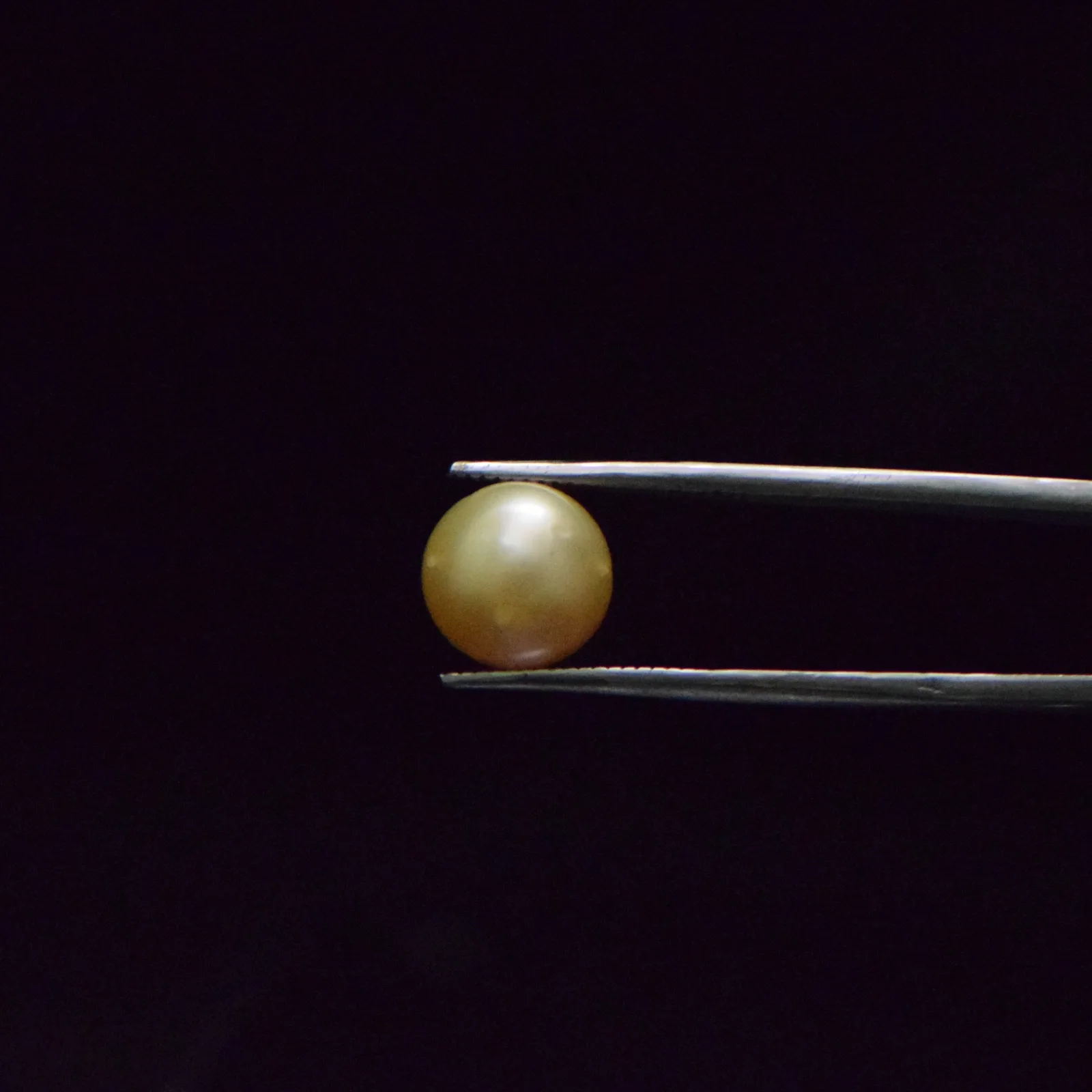 South Sea Pearl - 8.27 Carat