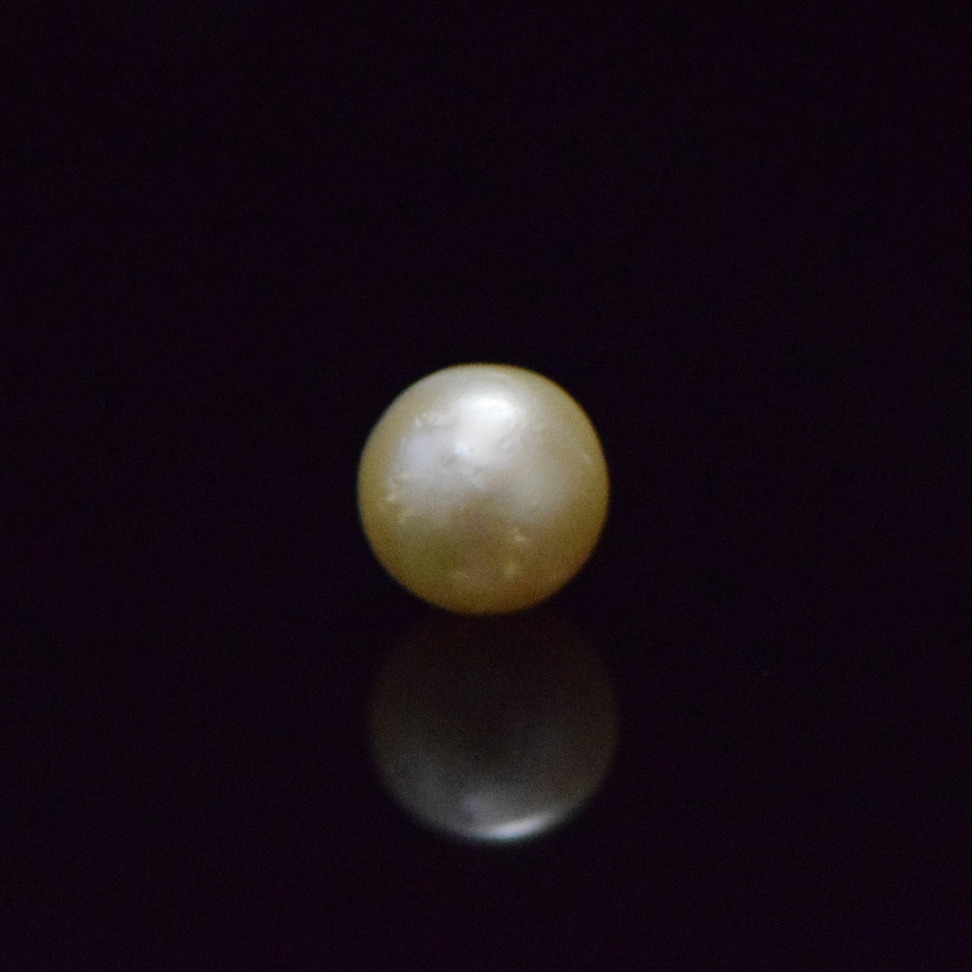 South Sea Pearl - 8.36 Carat