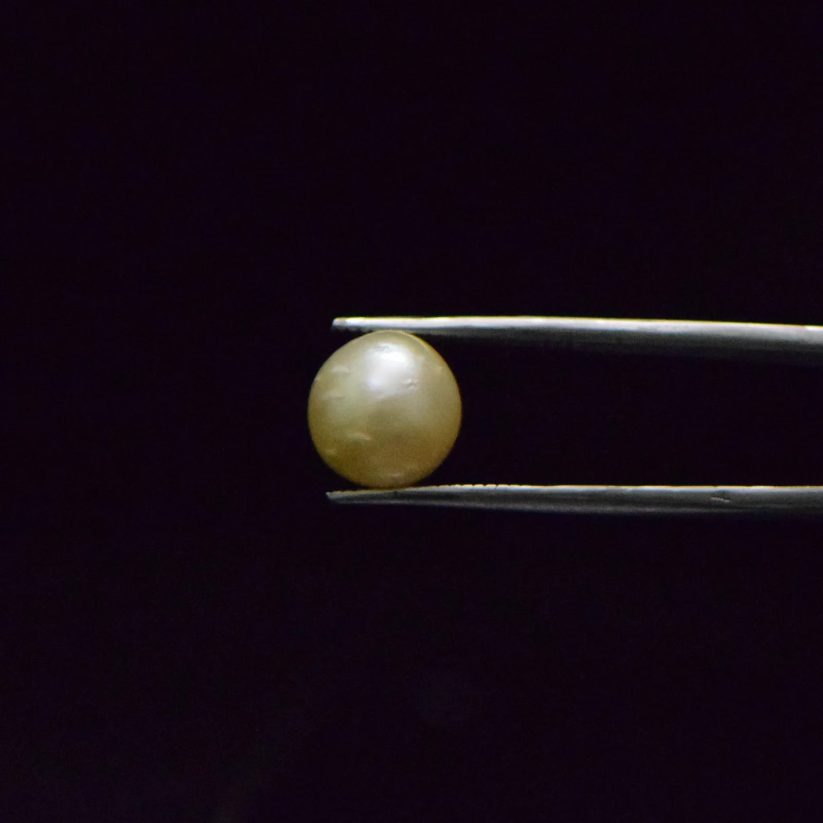South Sea Pearl - 8.36 Carat