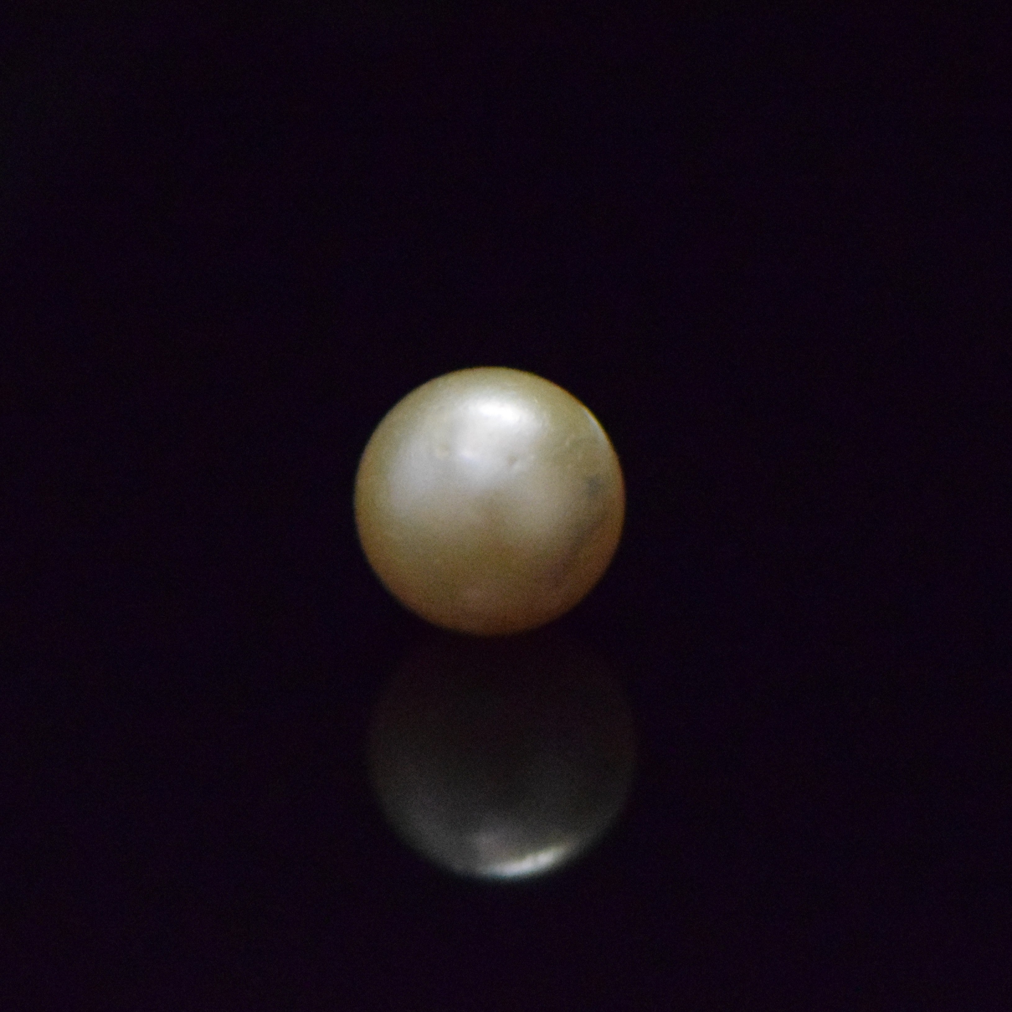 South Sea Pearl - 9.25 Carat