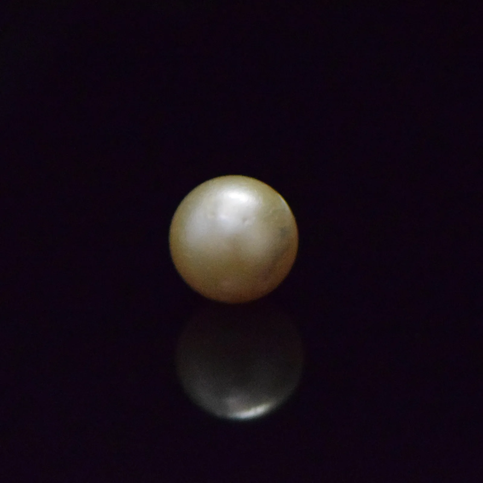 South Sea Pearl - 9.25 Carat
