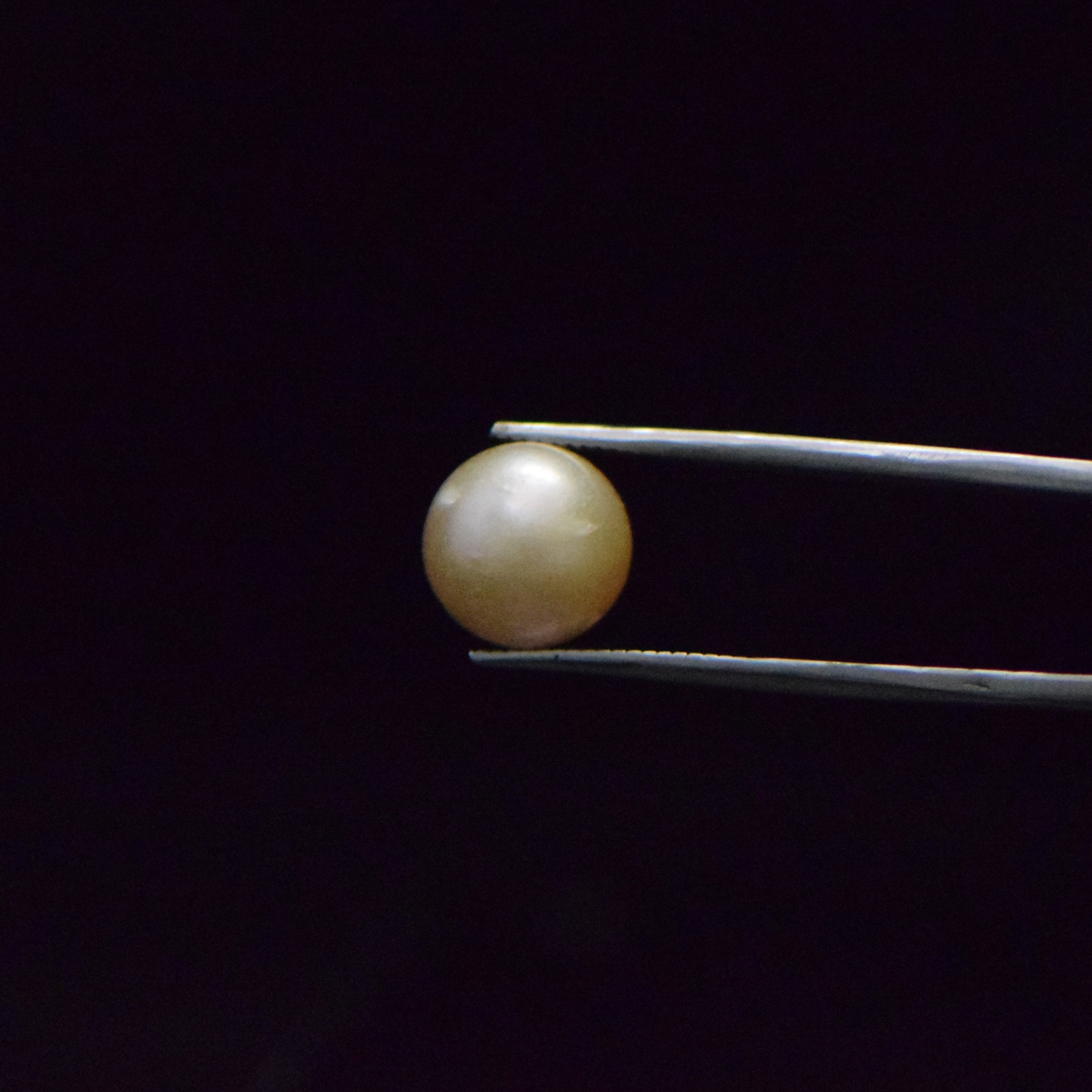 South Sea Pearl - 9.25 Carat