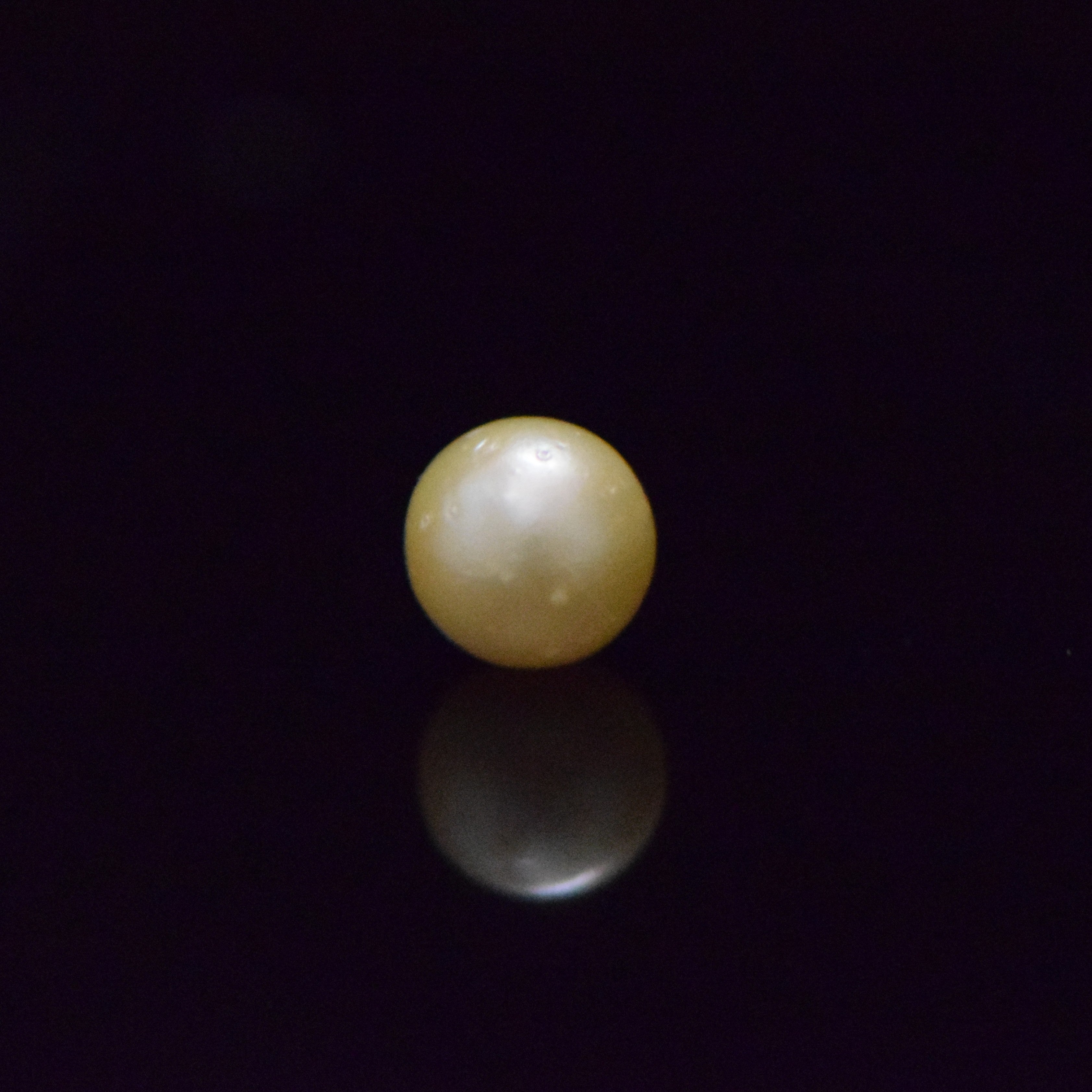 South Sea Pearl - 6.97 Carat