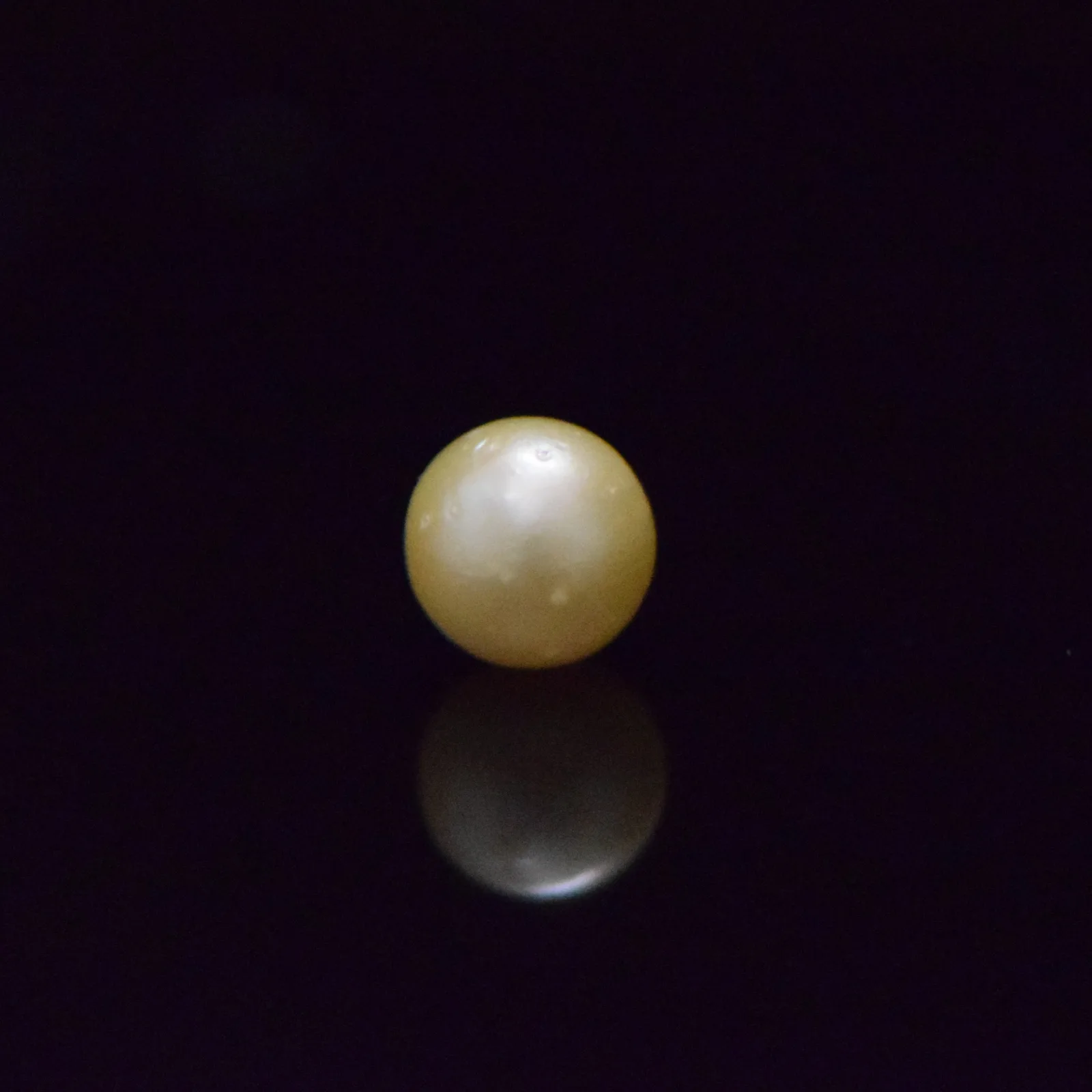 South Sea Pearl - 6.97 Carat