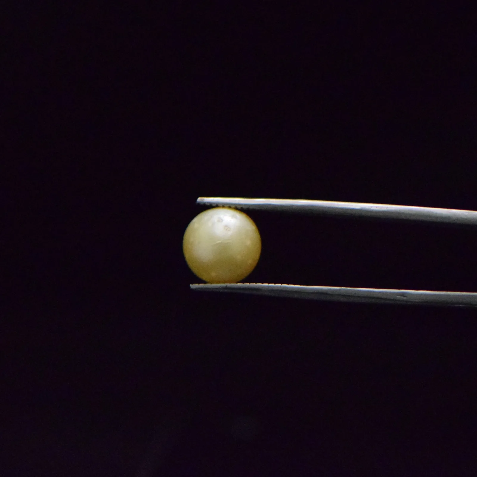 South Sea Pearl - 6.97 Carat