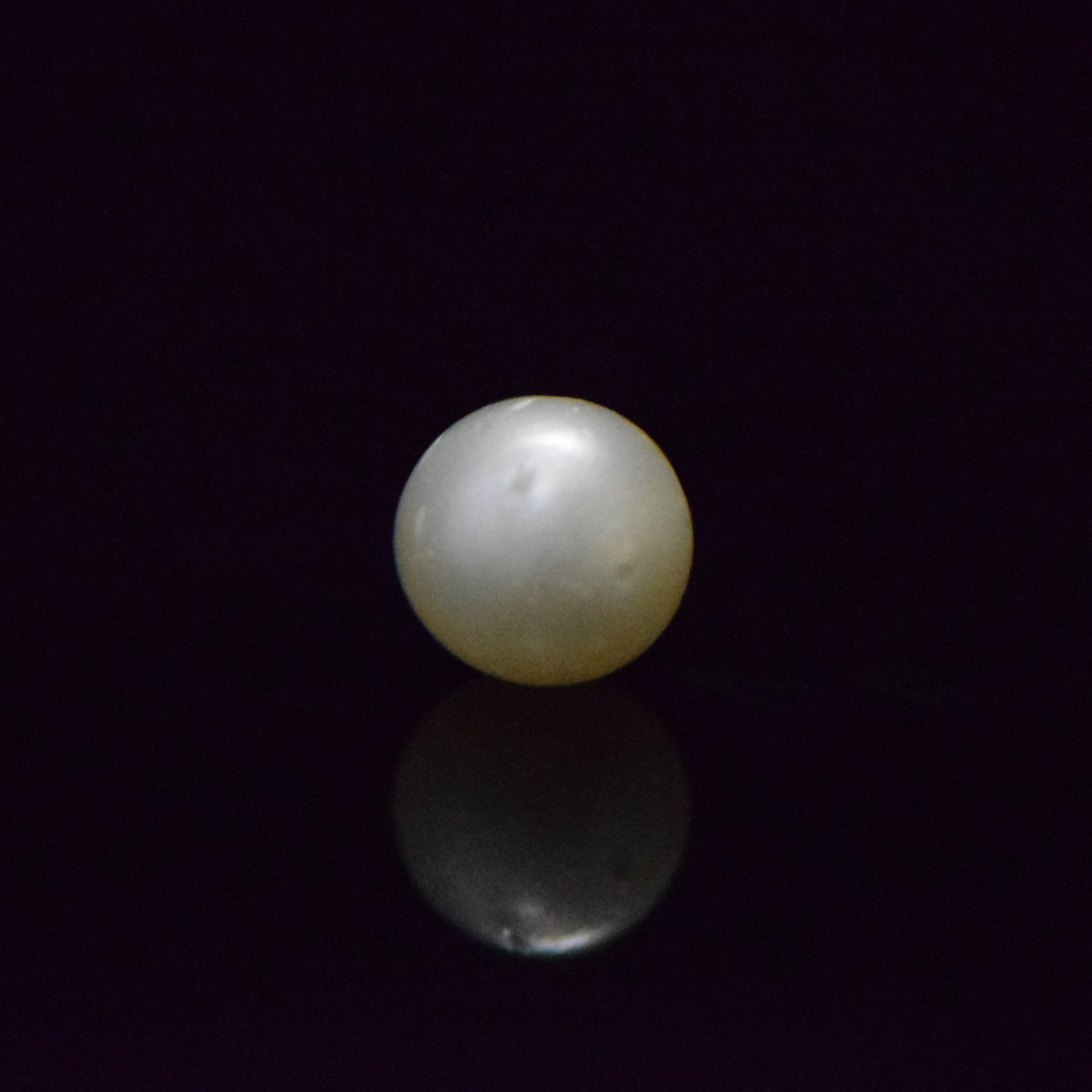 South Sea Pearl - 7.28 Carat