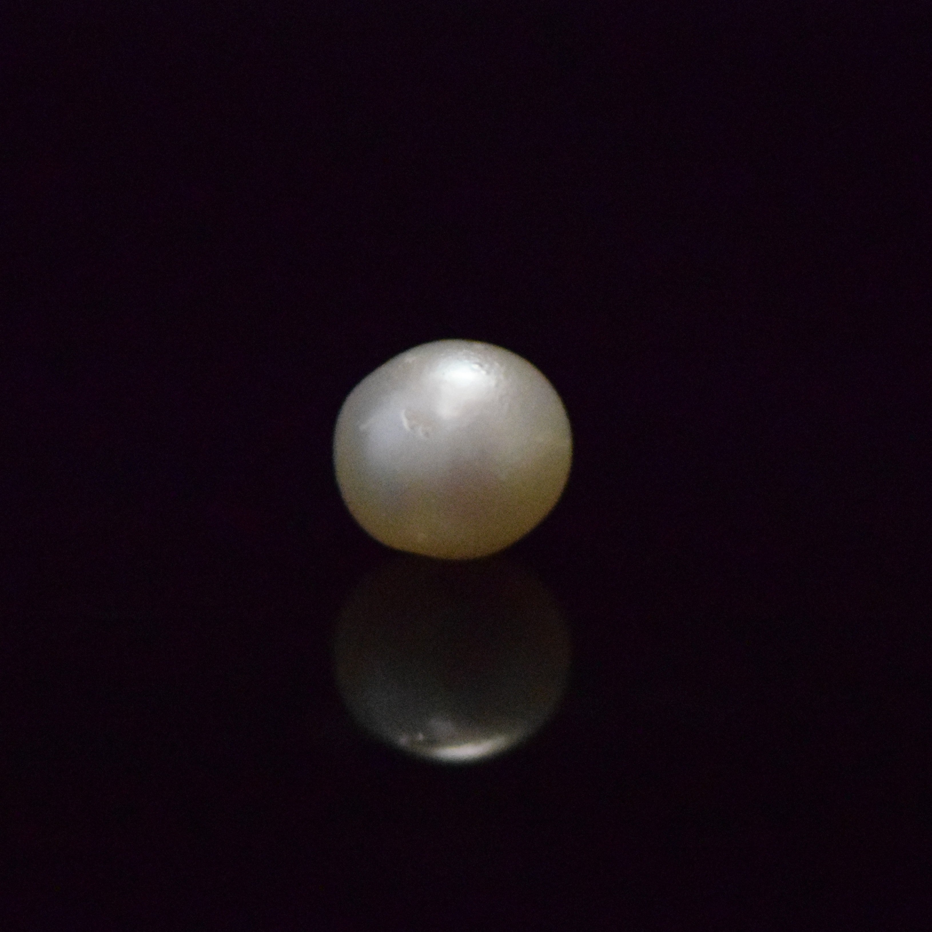 South Sea Pearl - 6.56 Carat