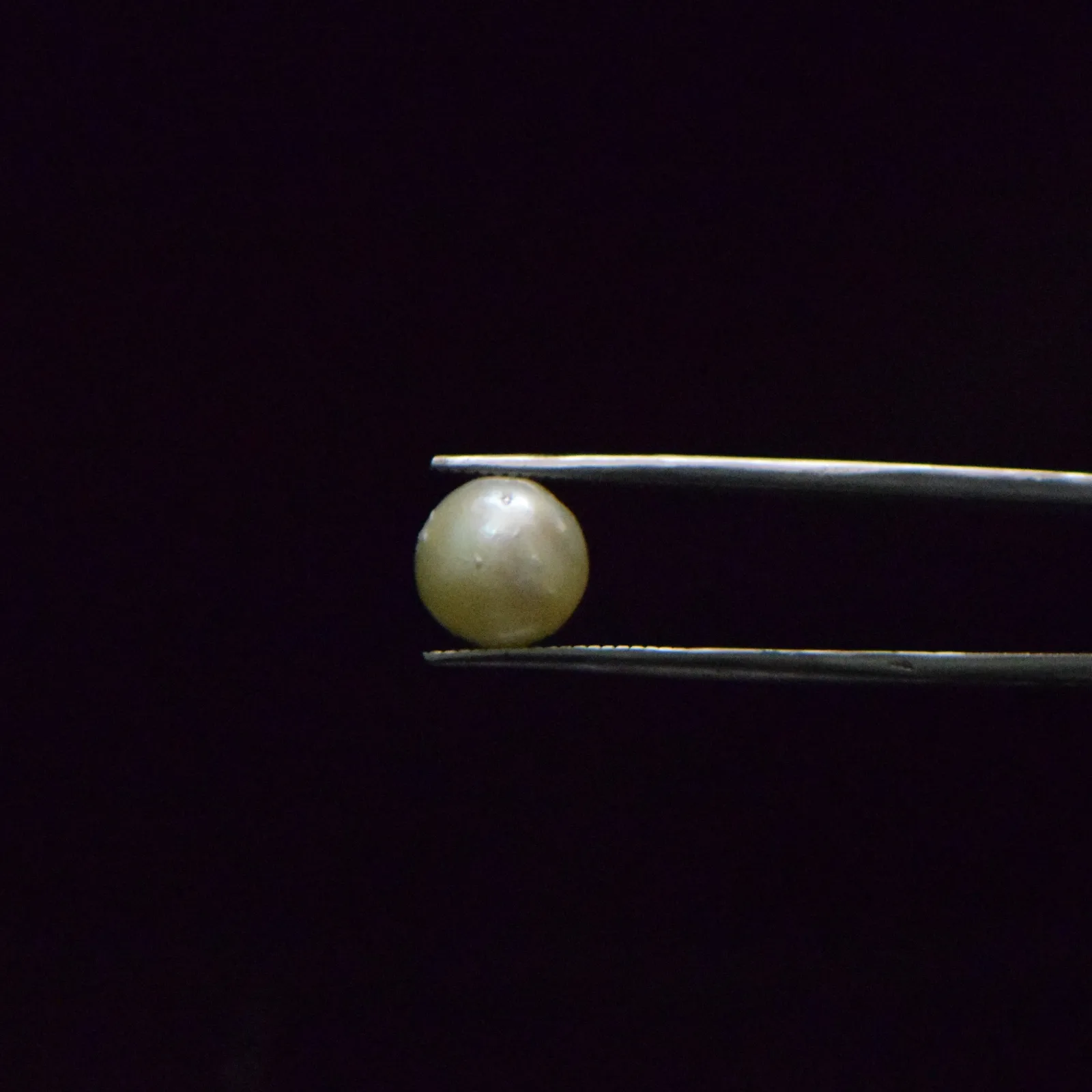 South Sea Pearl - 6.54 Carat